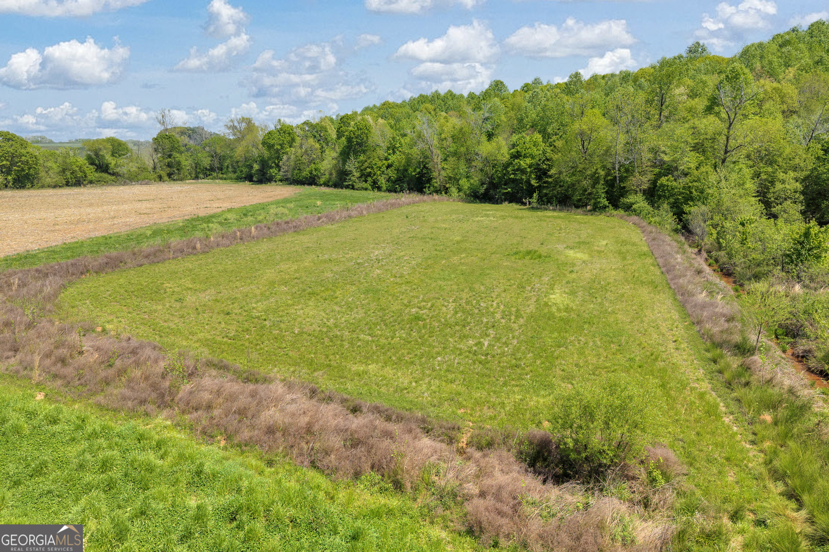 1224 Cedar Ridge Road Property Photo 61