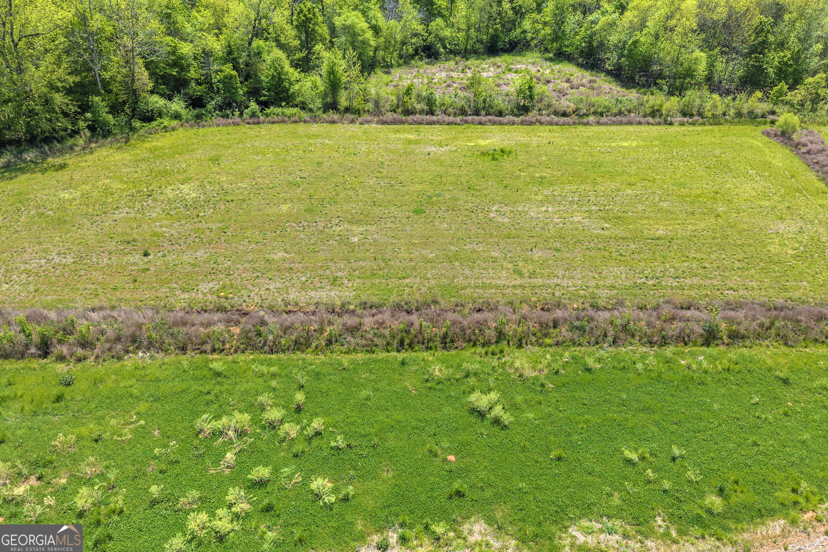 1224 Cedar Ridge Road Property Photo 64