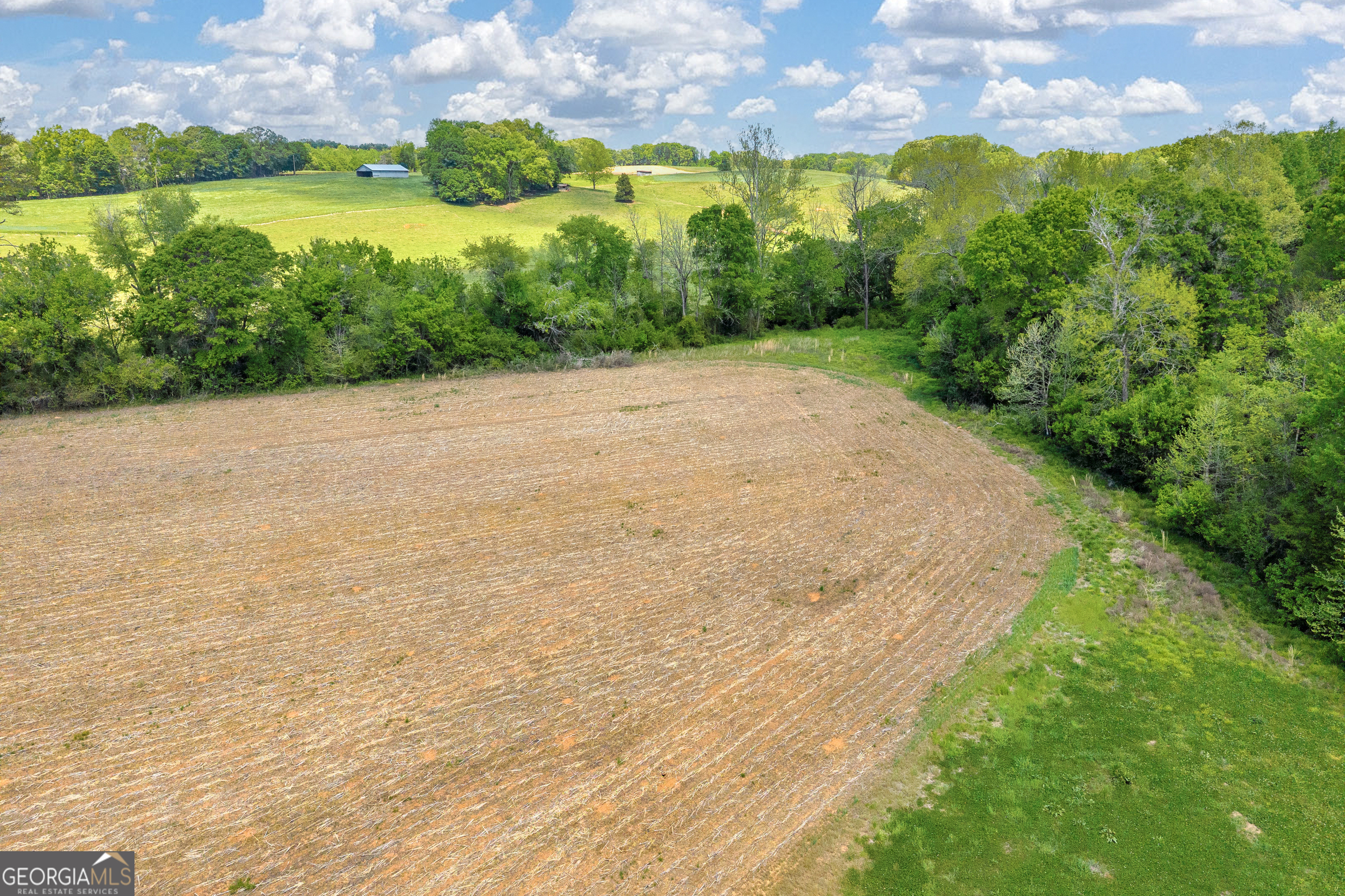 1224 Cedar Ridge Road Property Photo 67