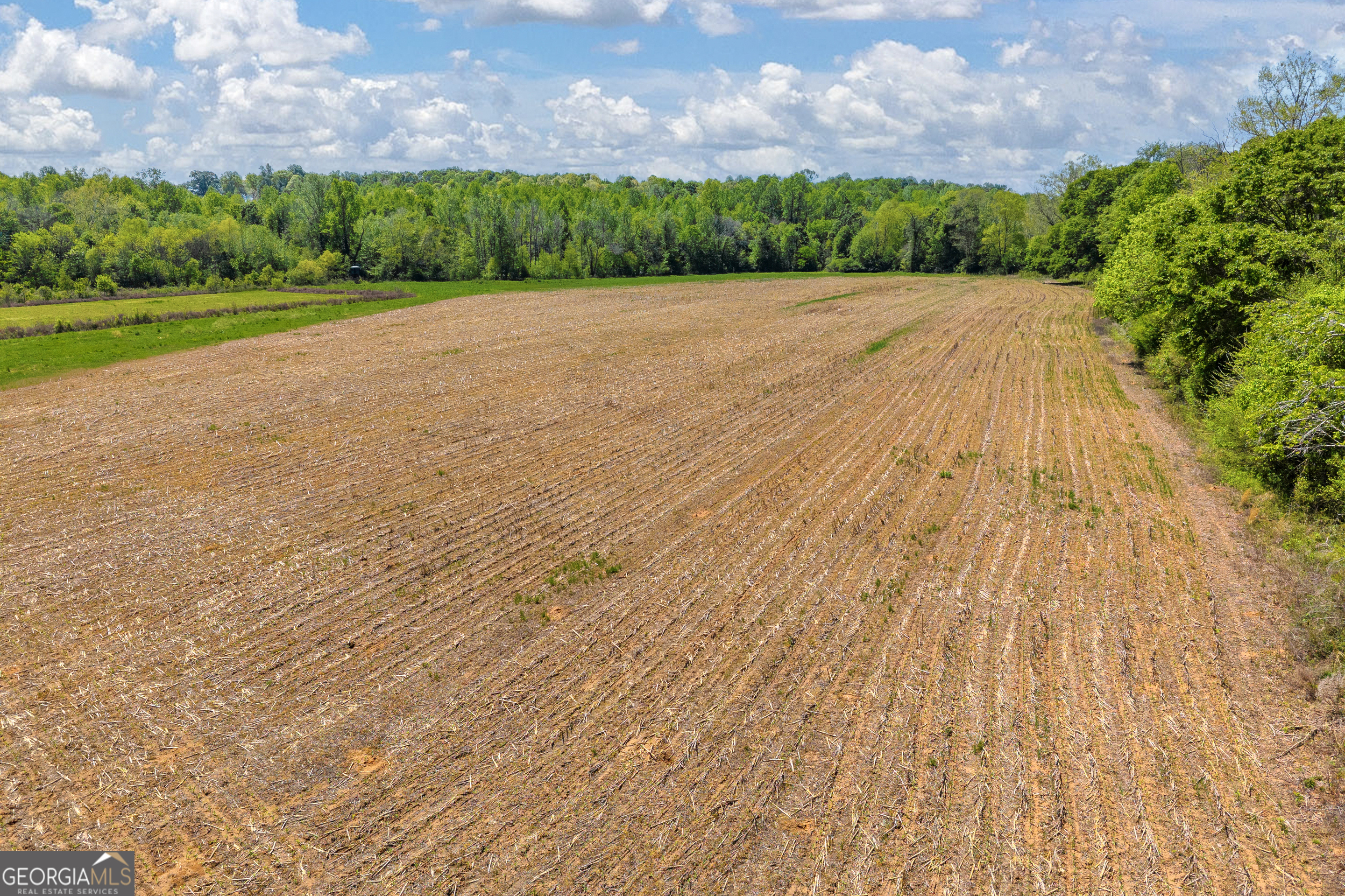 1224 Cedar Ridge Road Property Photo 68