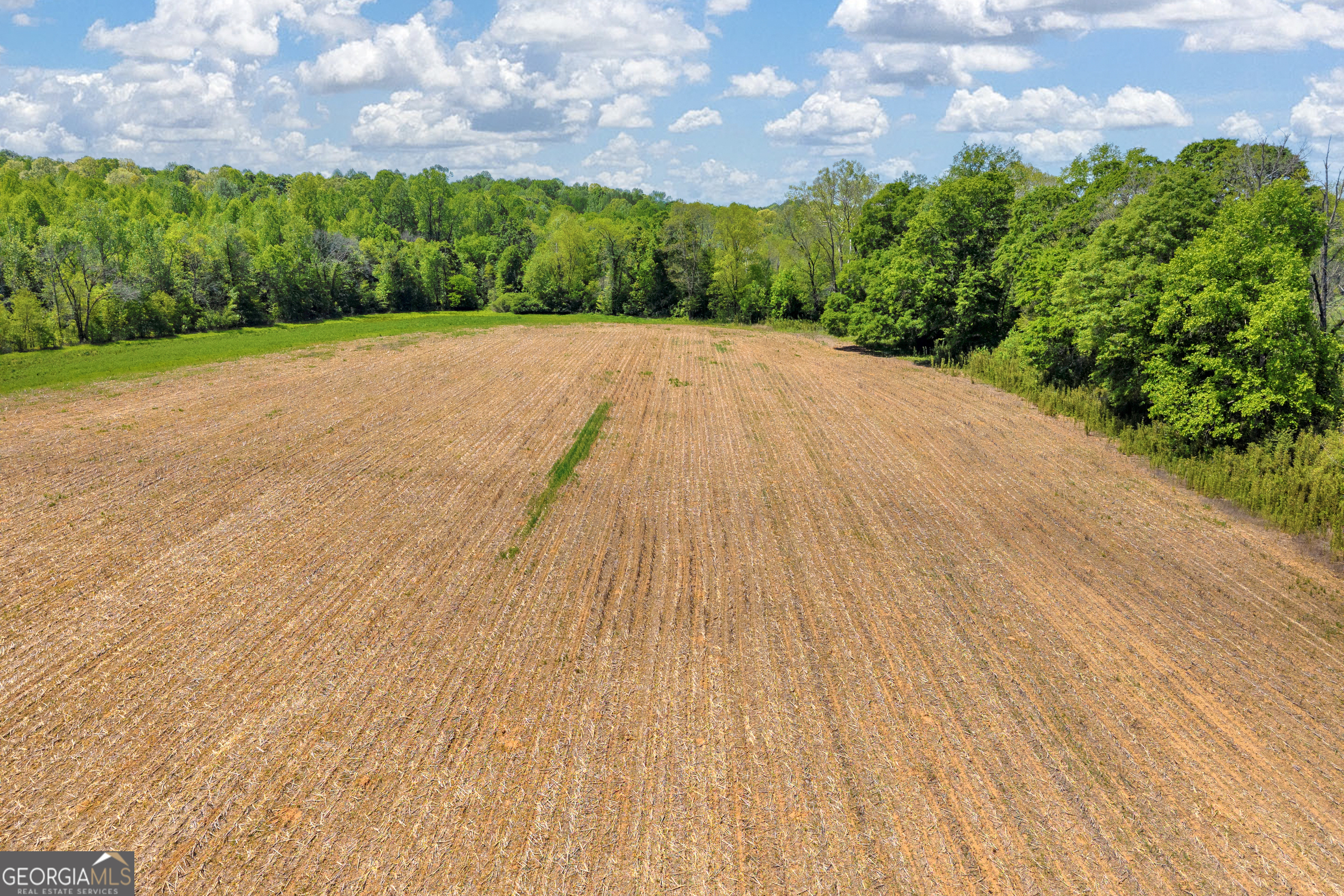 1224 Cedar Ridge Road Property Photo 69