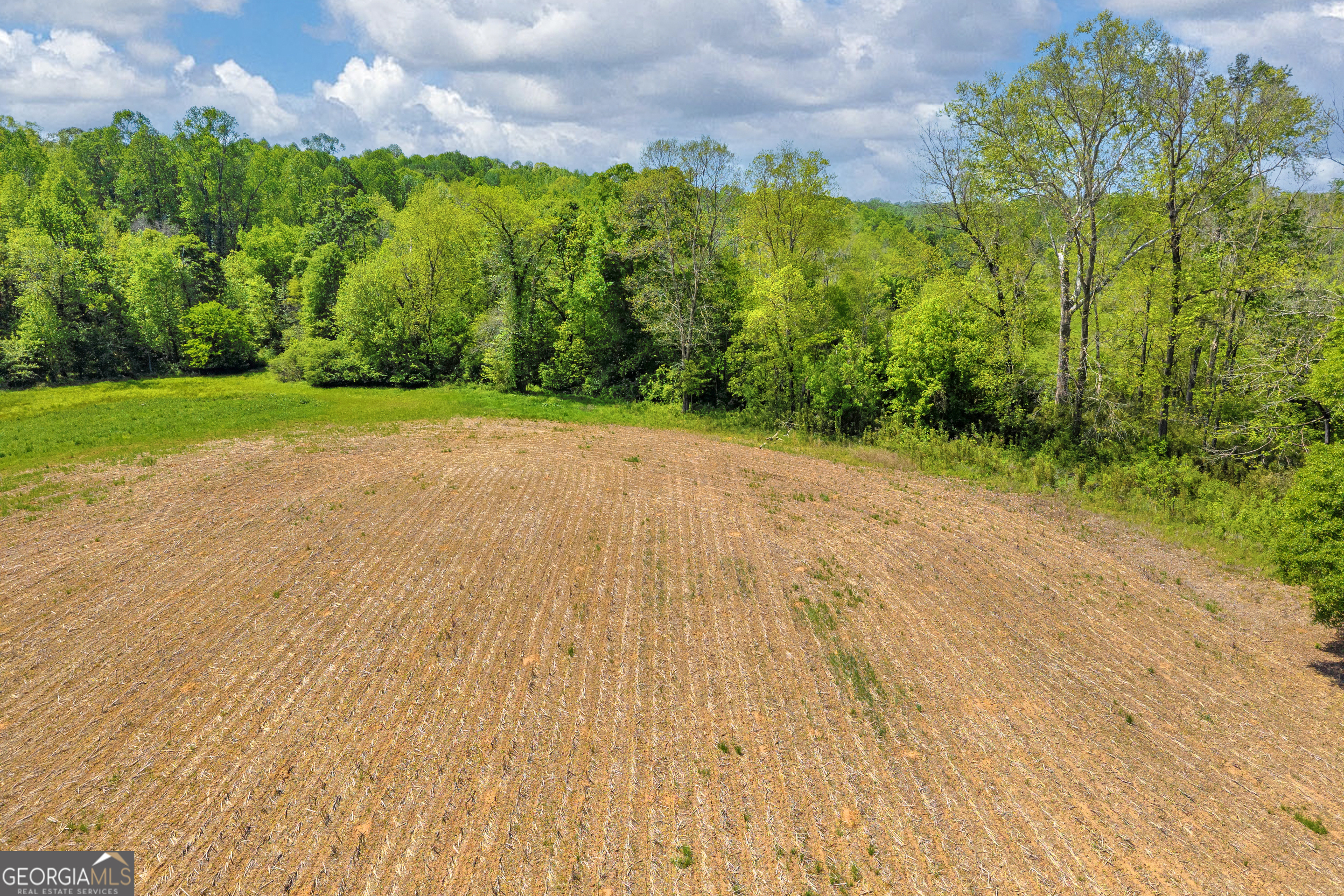1224 Cedar Ridge Road Property Photo 70