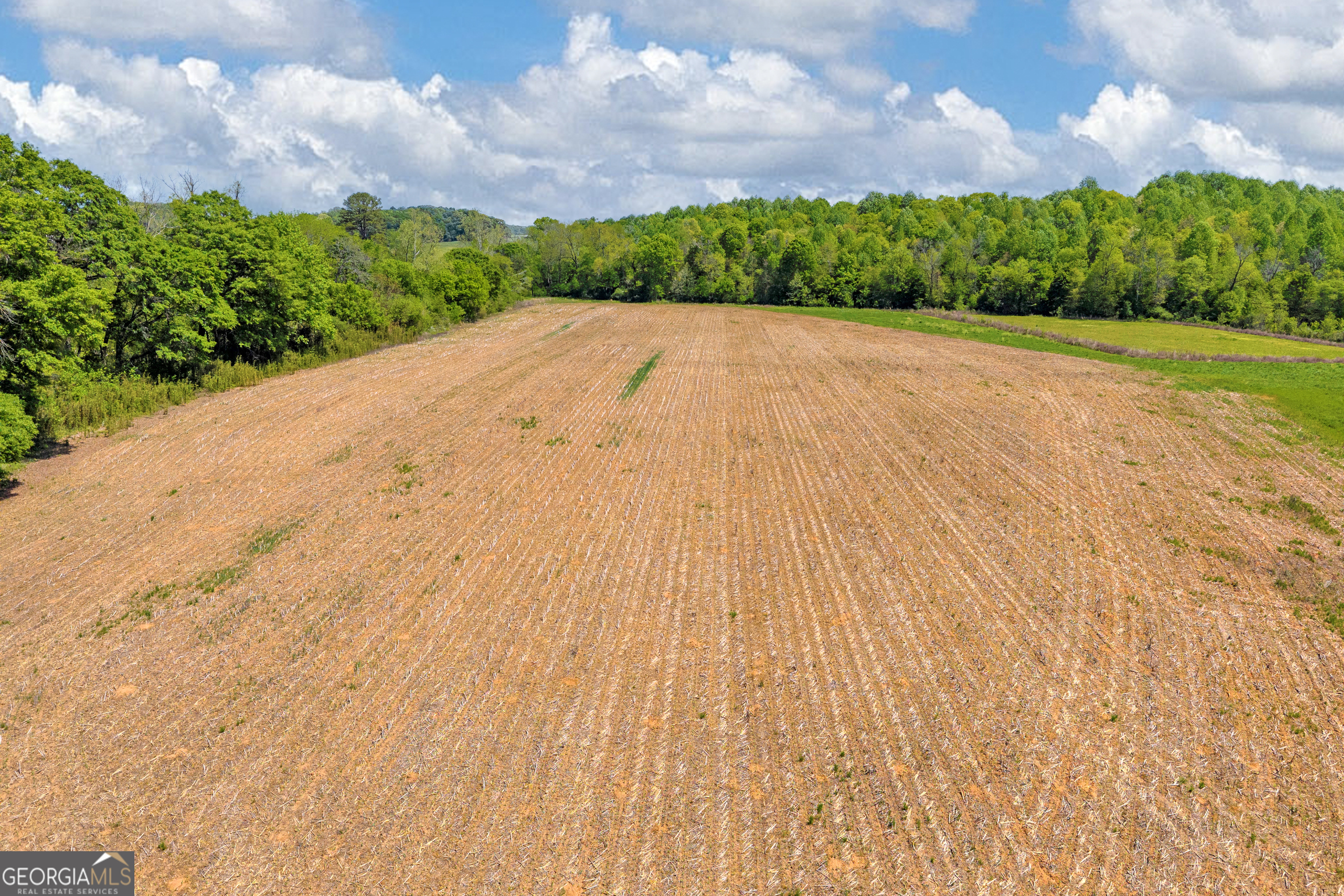 1224 Cedar Ridge Road Property Photo 71