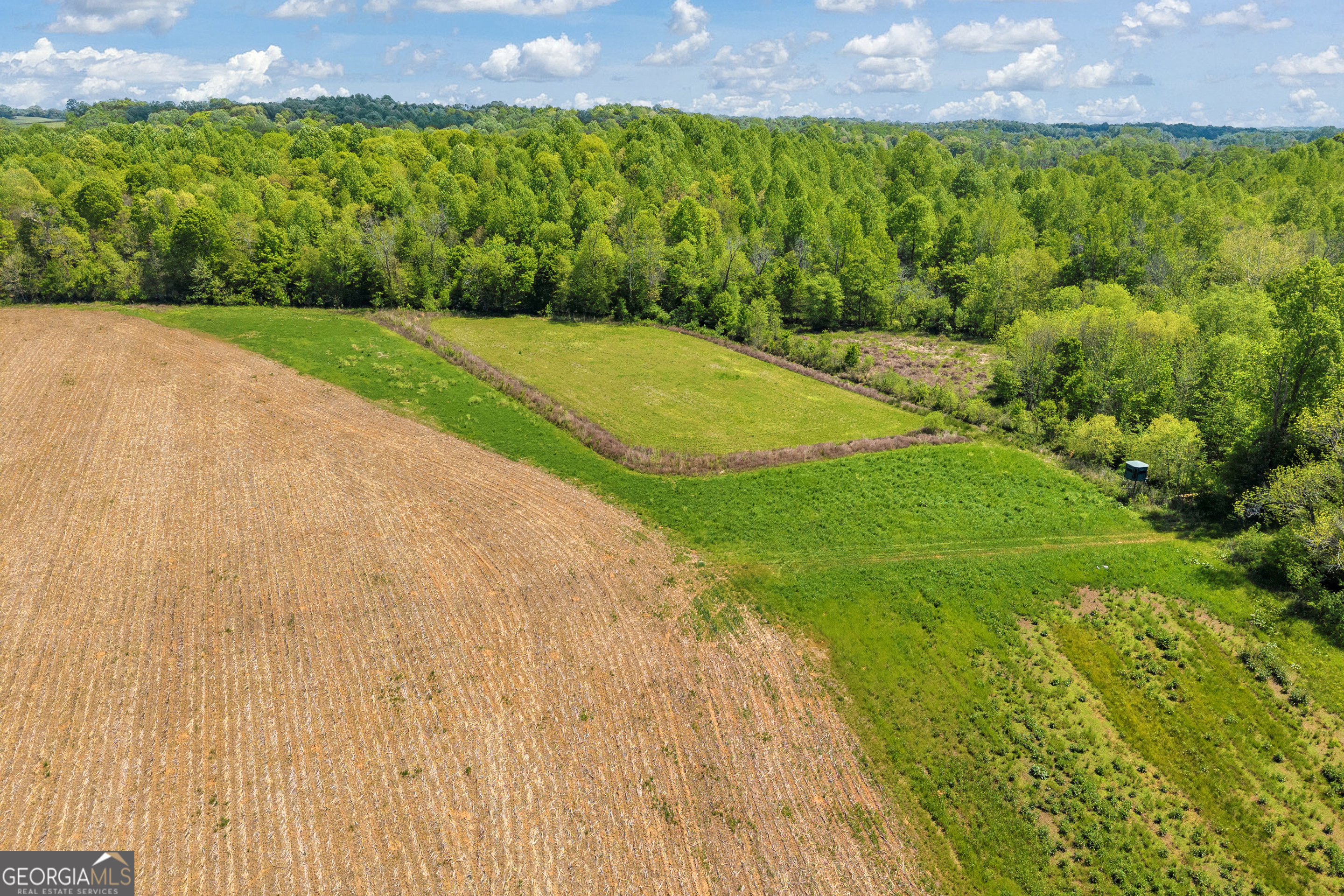 1224 Cedar Ridge Road Property Photo 72