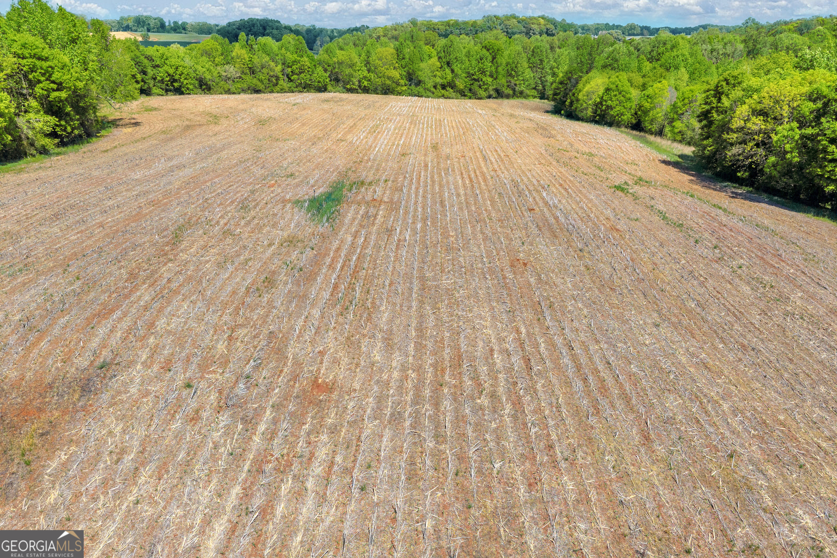 1224 Cedar Ridge Road Property Photo 74