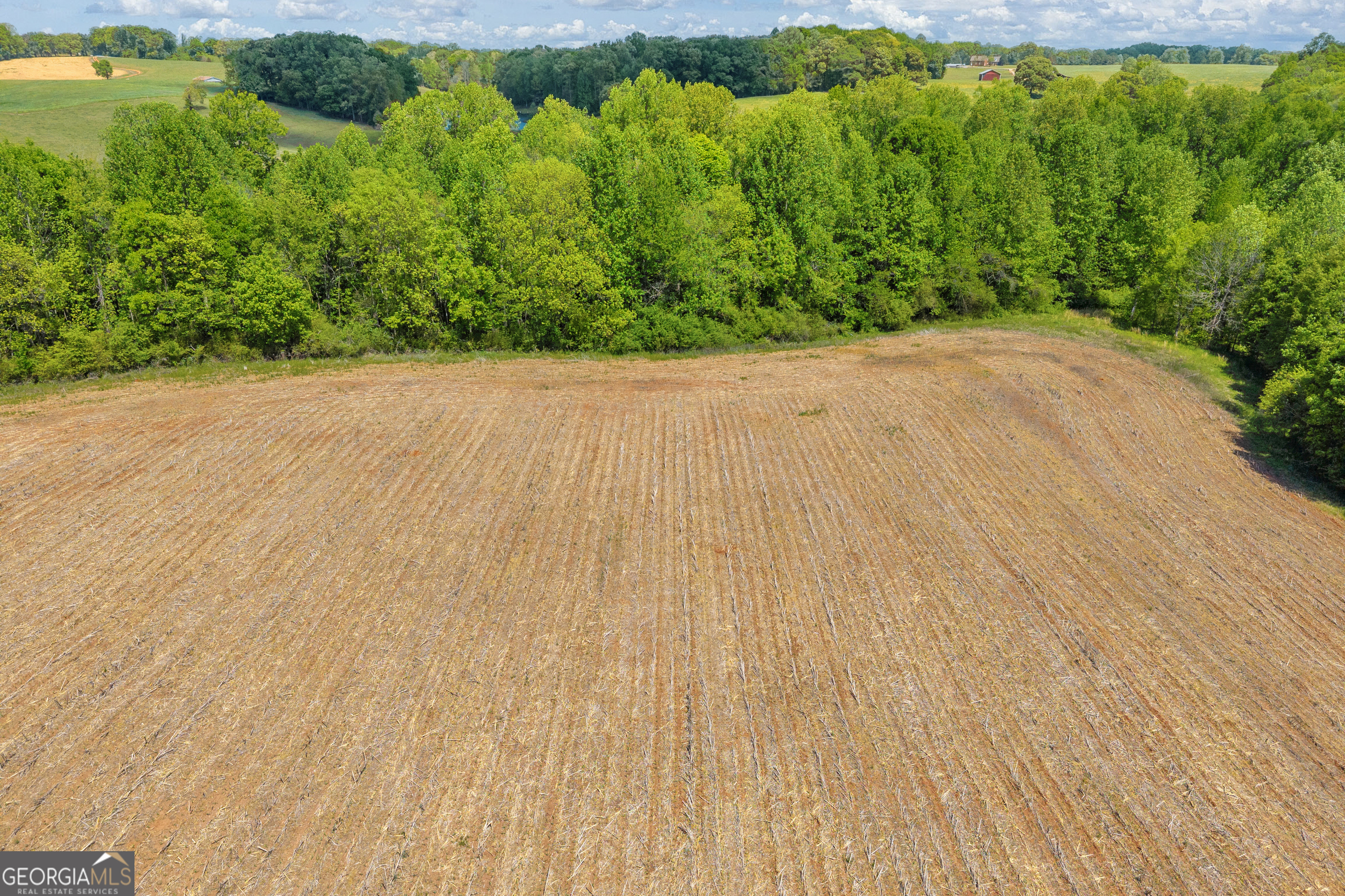 1224 Cedar Ridge Road Property Photo 76
