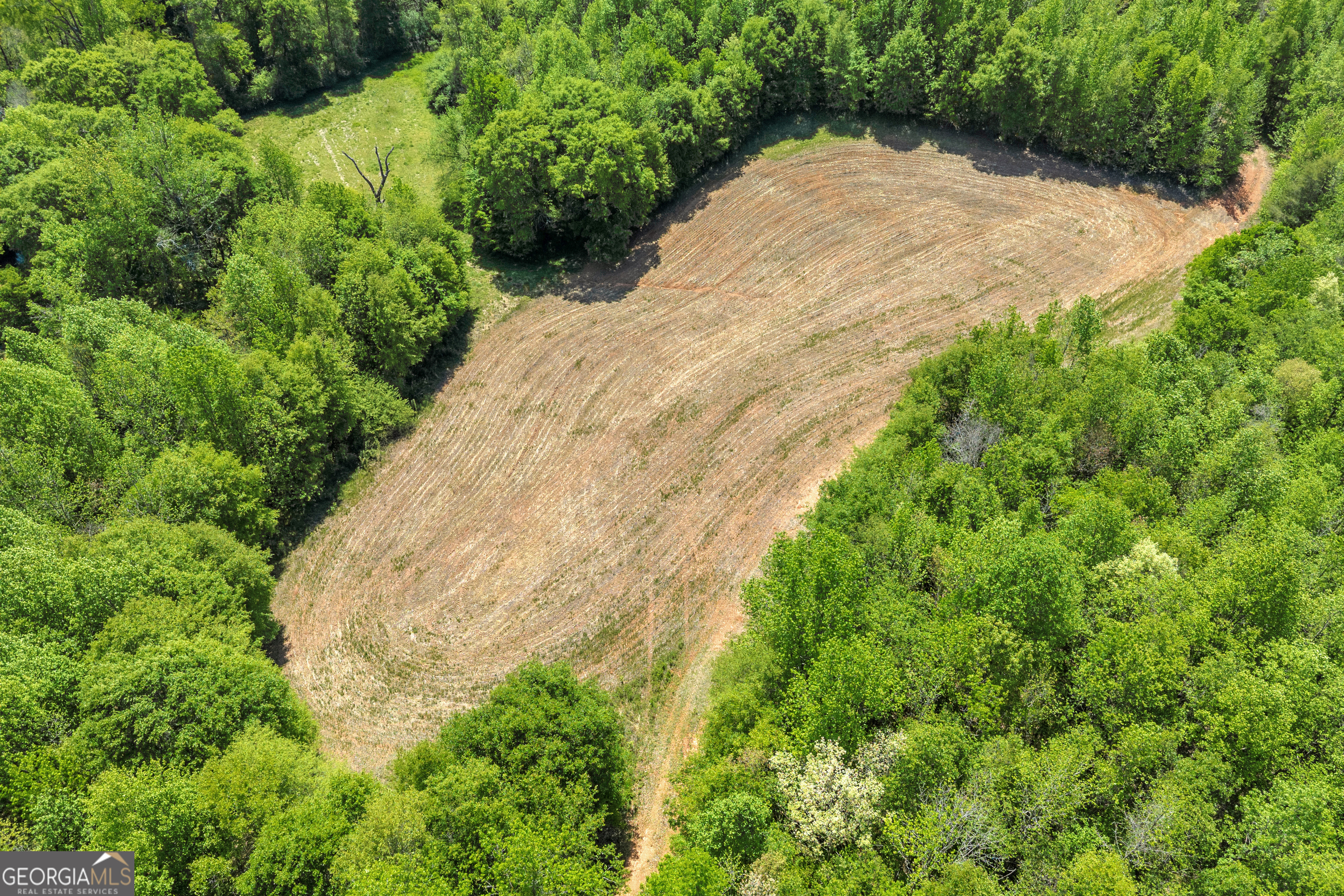 1224 Cedar Ridge Road Property Photo 78