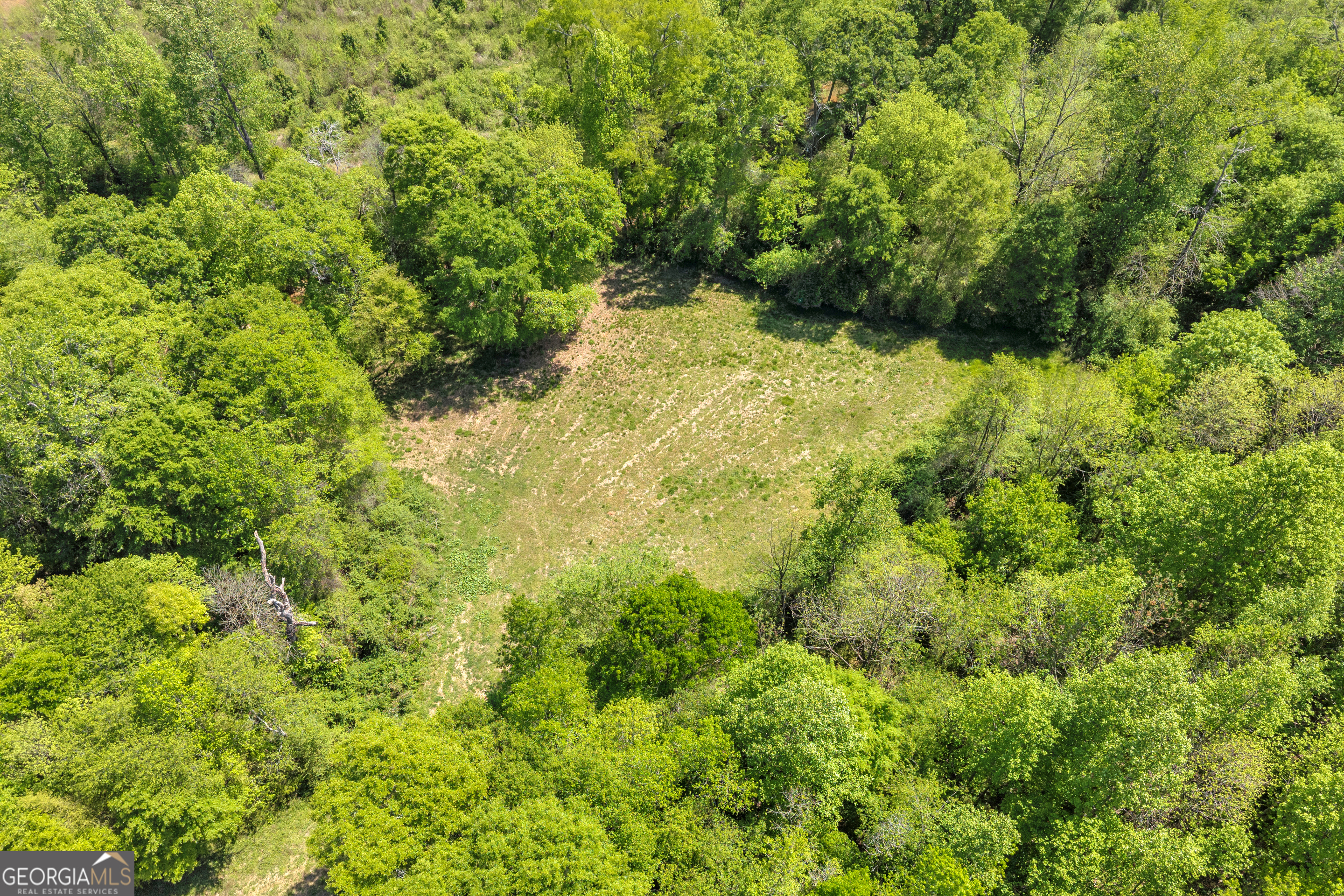 1224 Cedar Ridge Road Property Photo 81