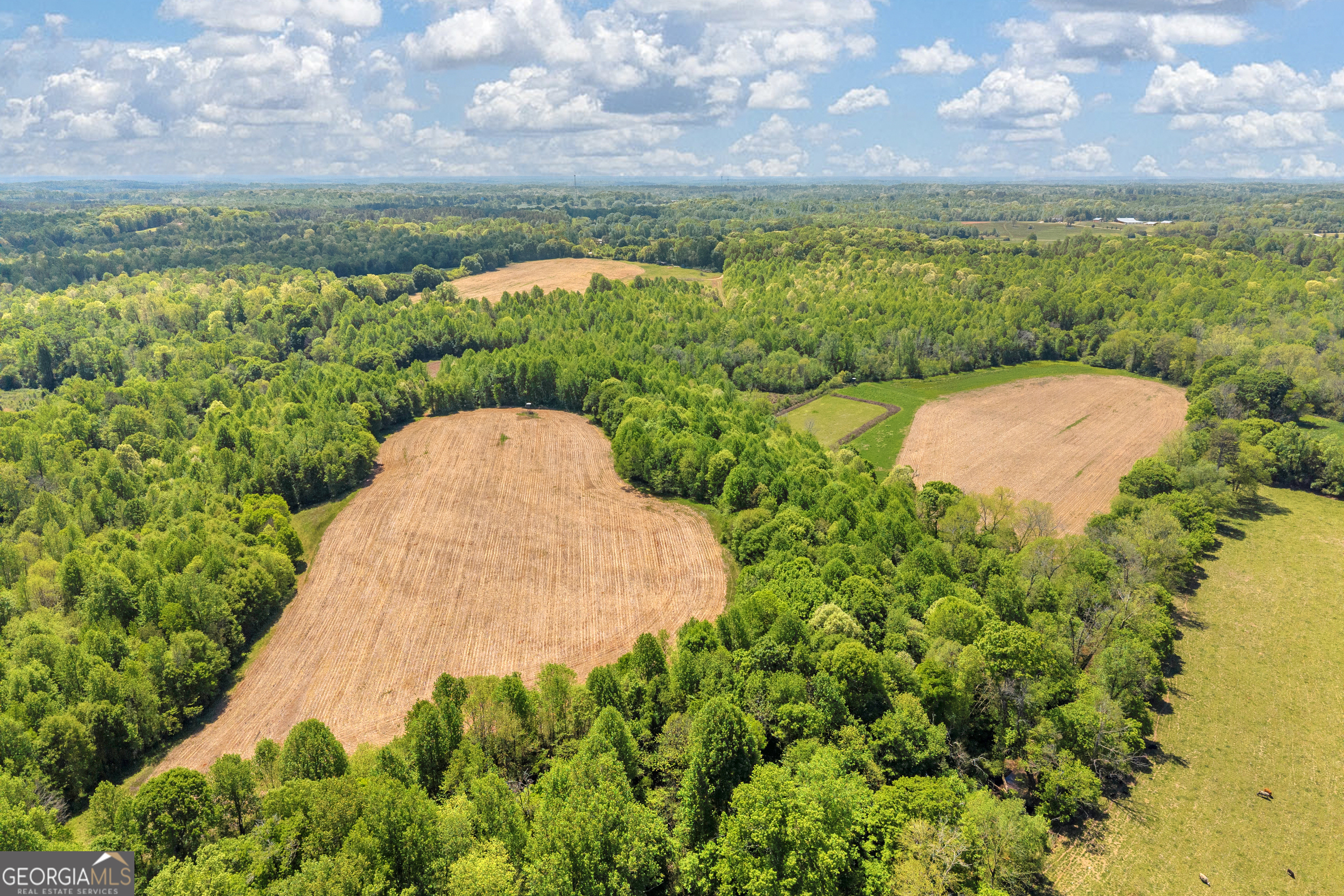 1224 Cedar Ridge Road Property Photo 82