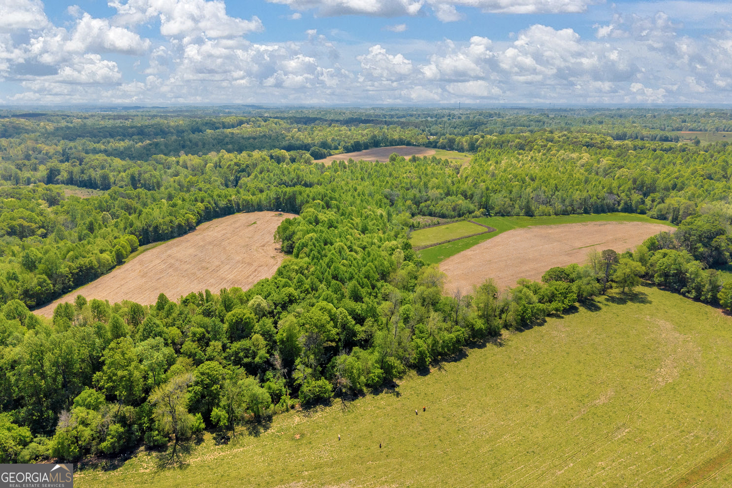1224 Cedar Ridge Road Property Photo 83