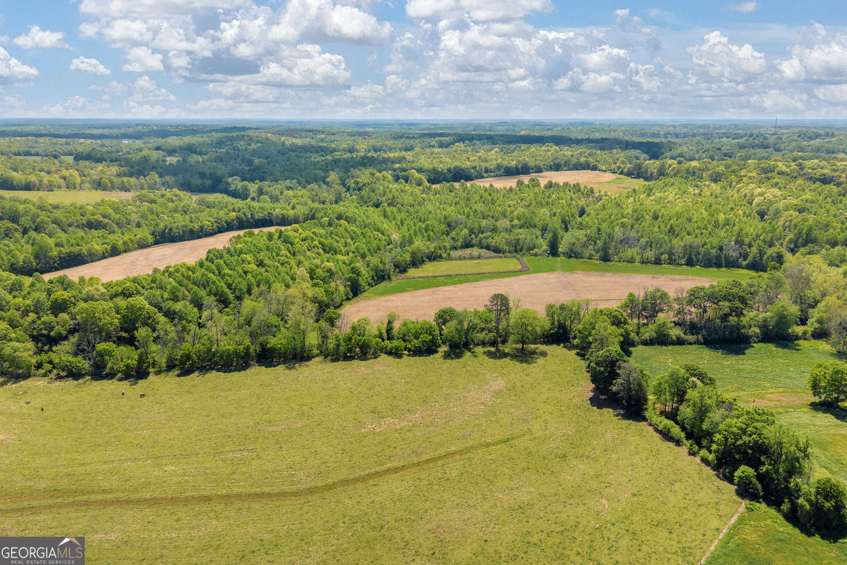 1224 Cedar Ridge Road Property Photo 84