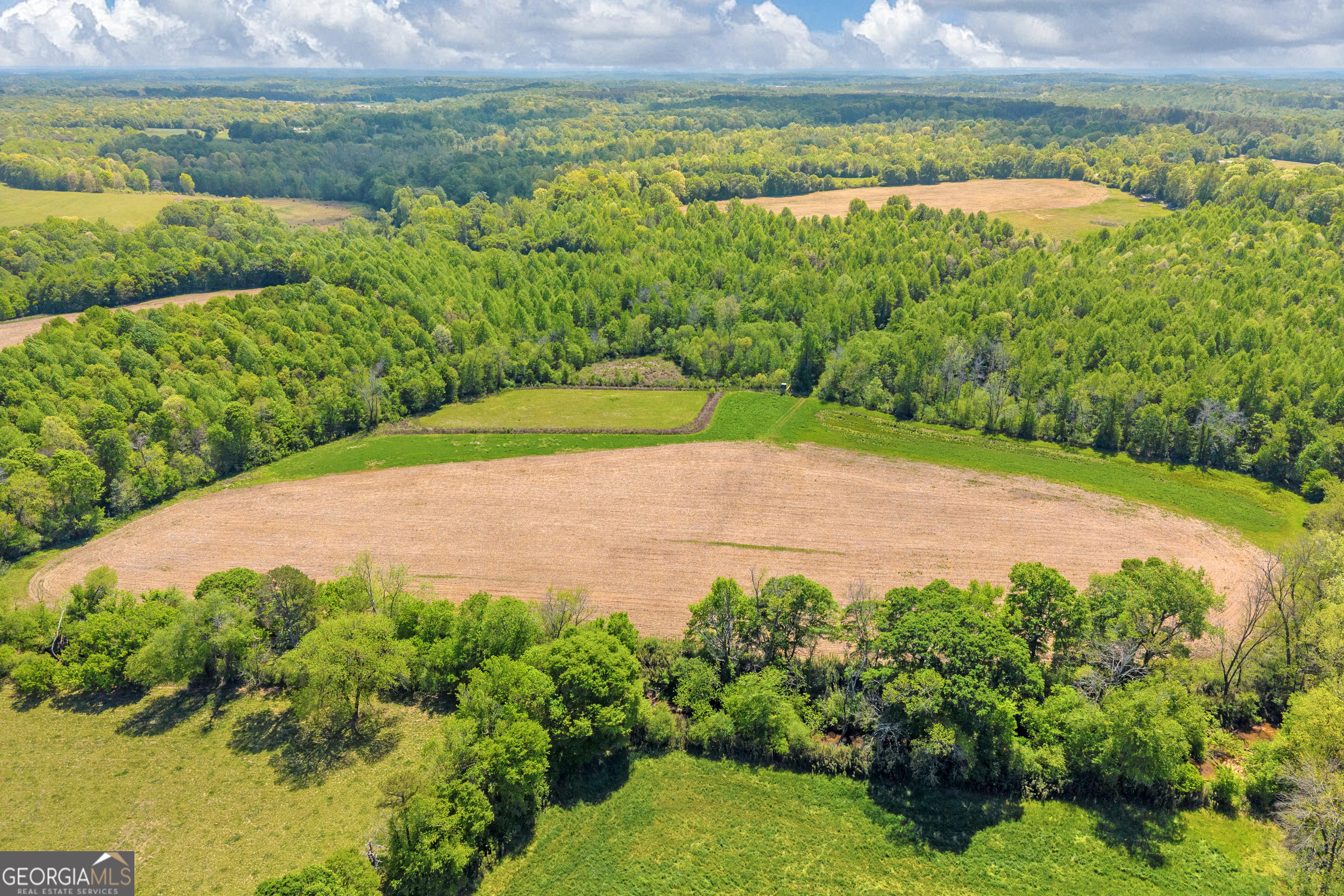 1224 Cedar Ridge Road Property Photo 85