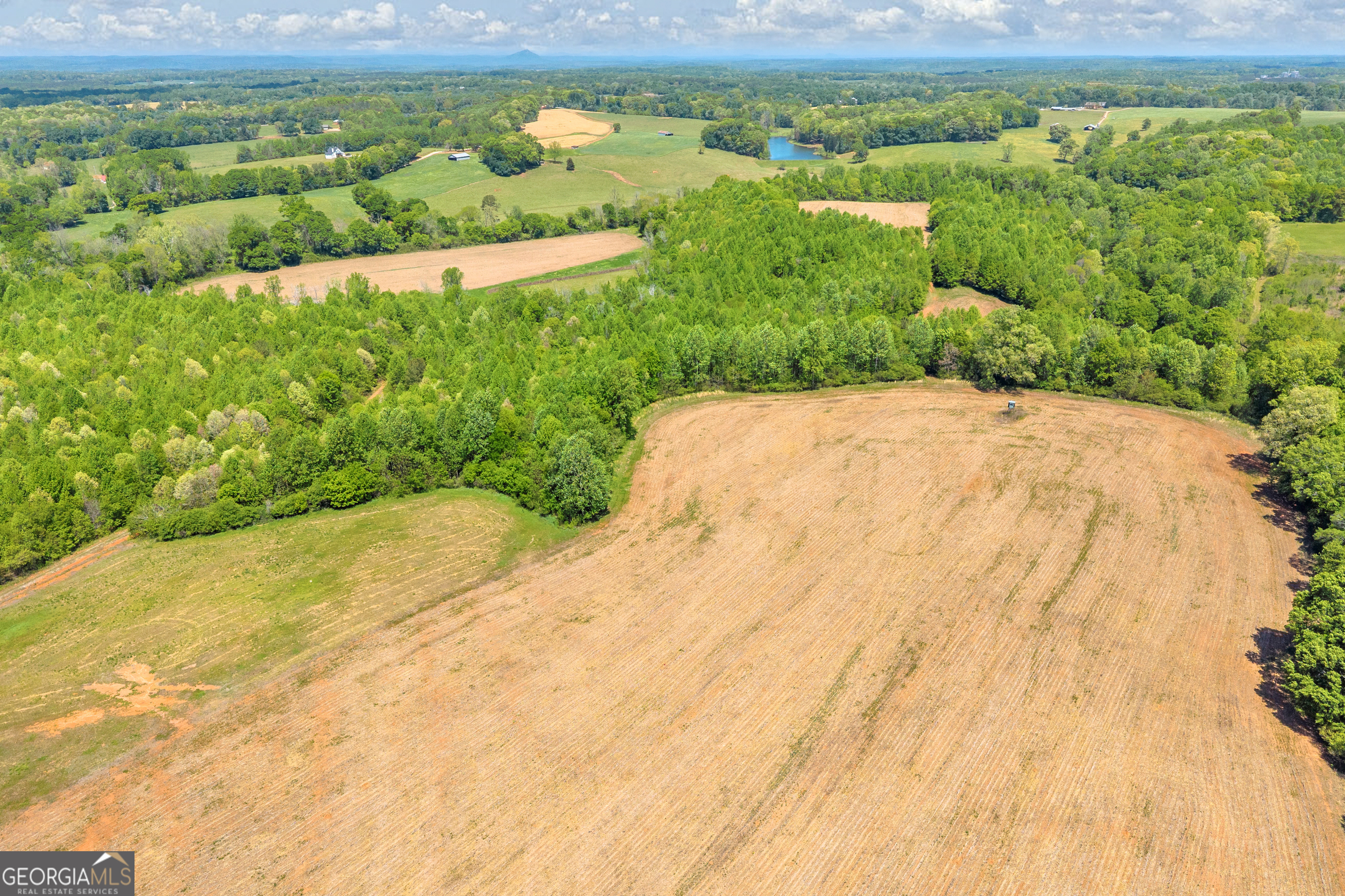 1224 Cedar Ridge Road Property Photo 87