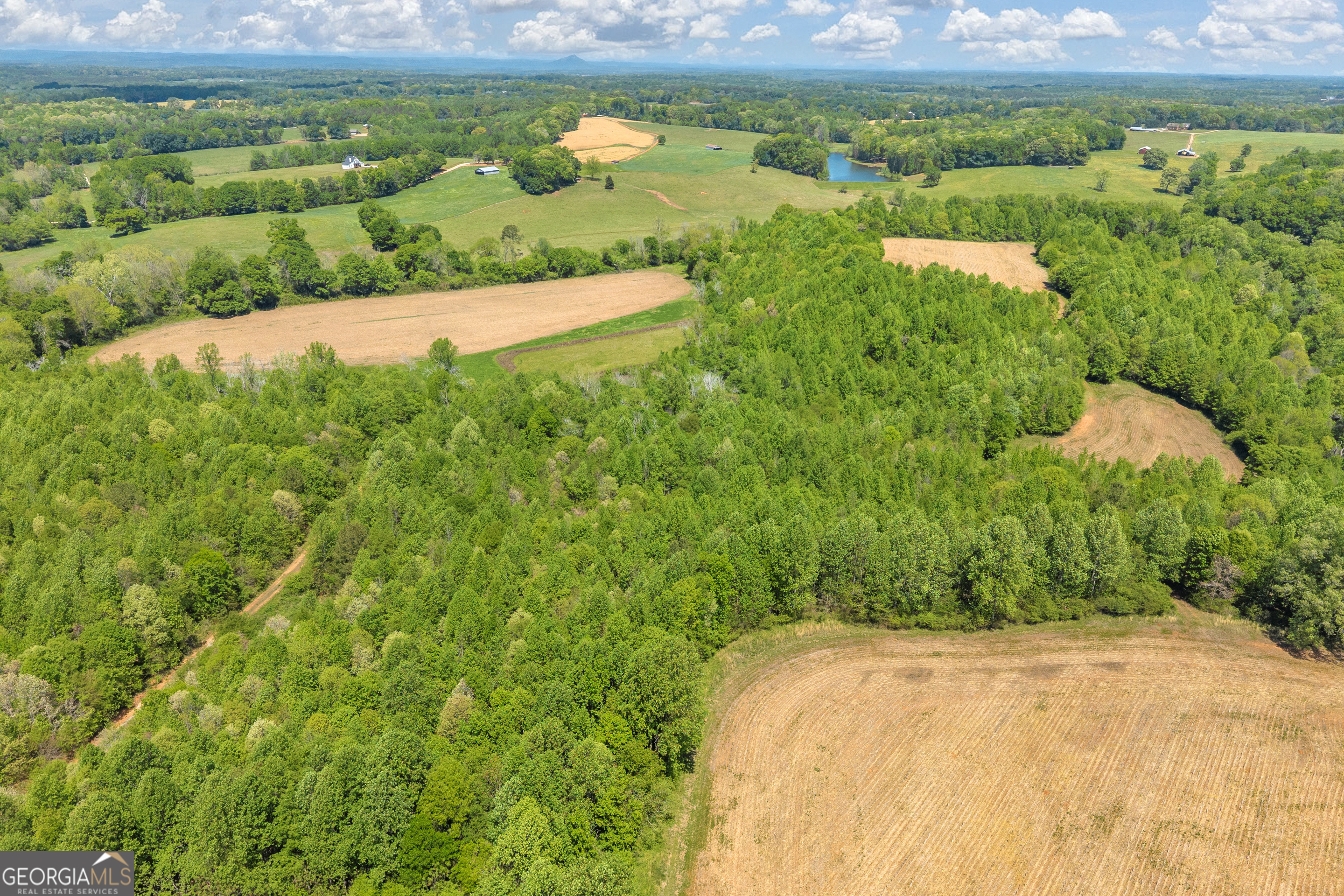 1224 Cedar Ridge Road Property Photo 88