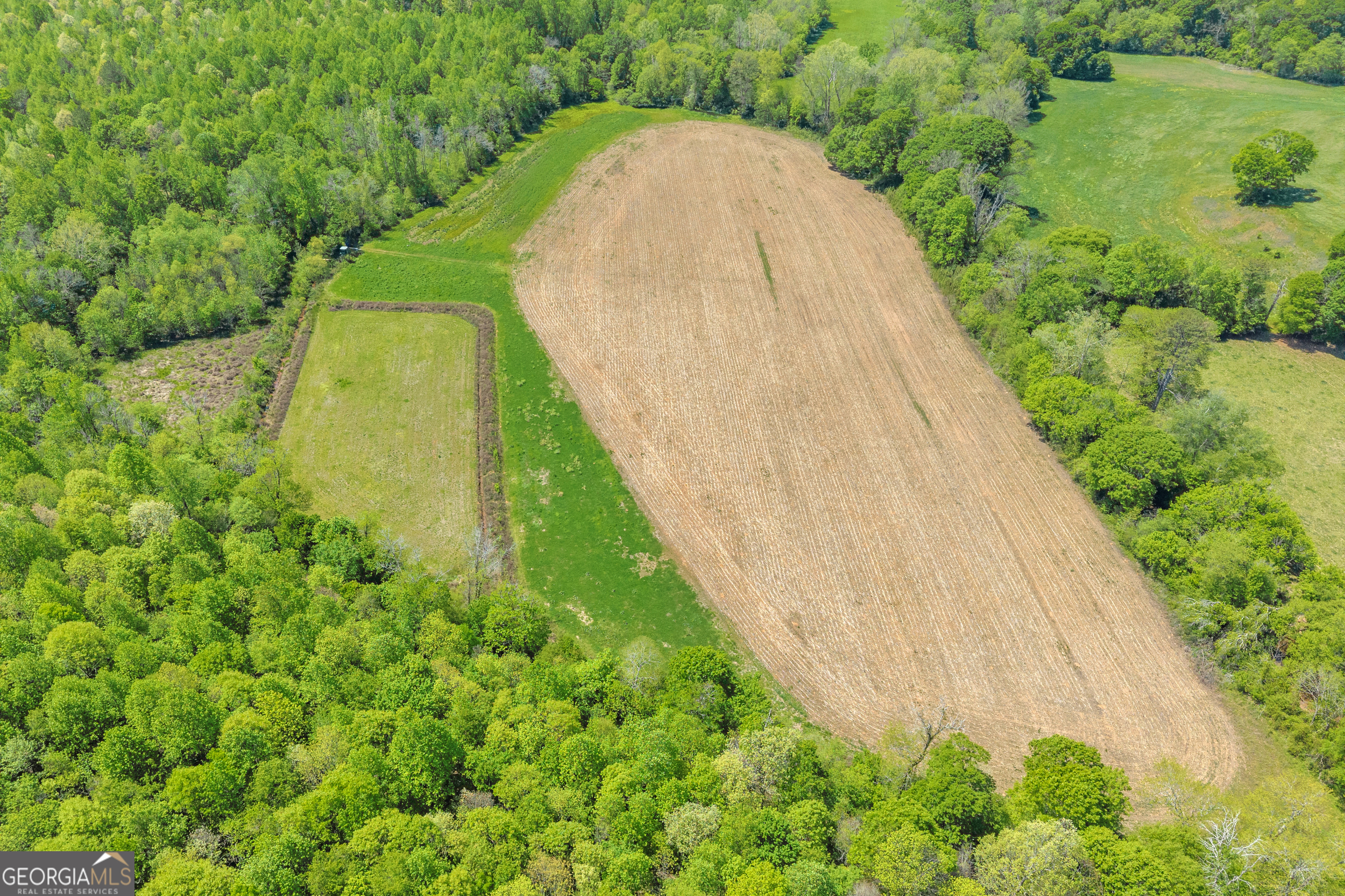 1224 Cedar Ridge Road Property Photo 89