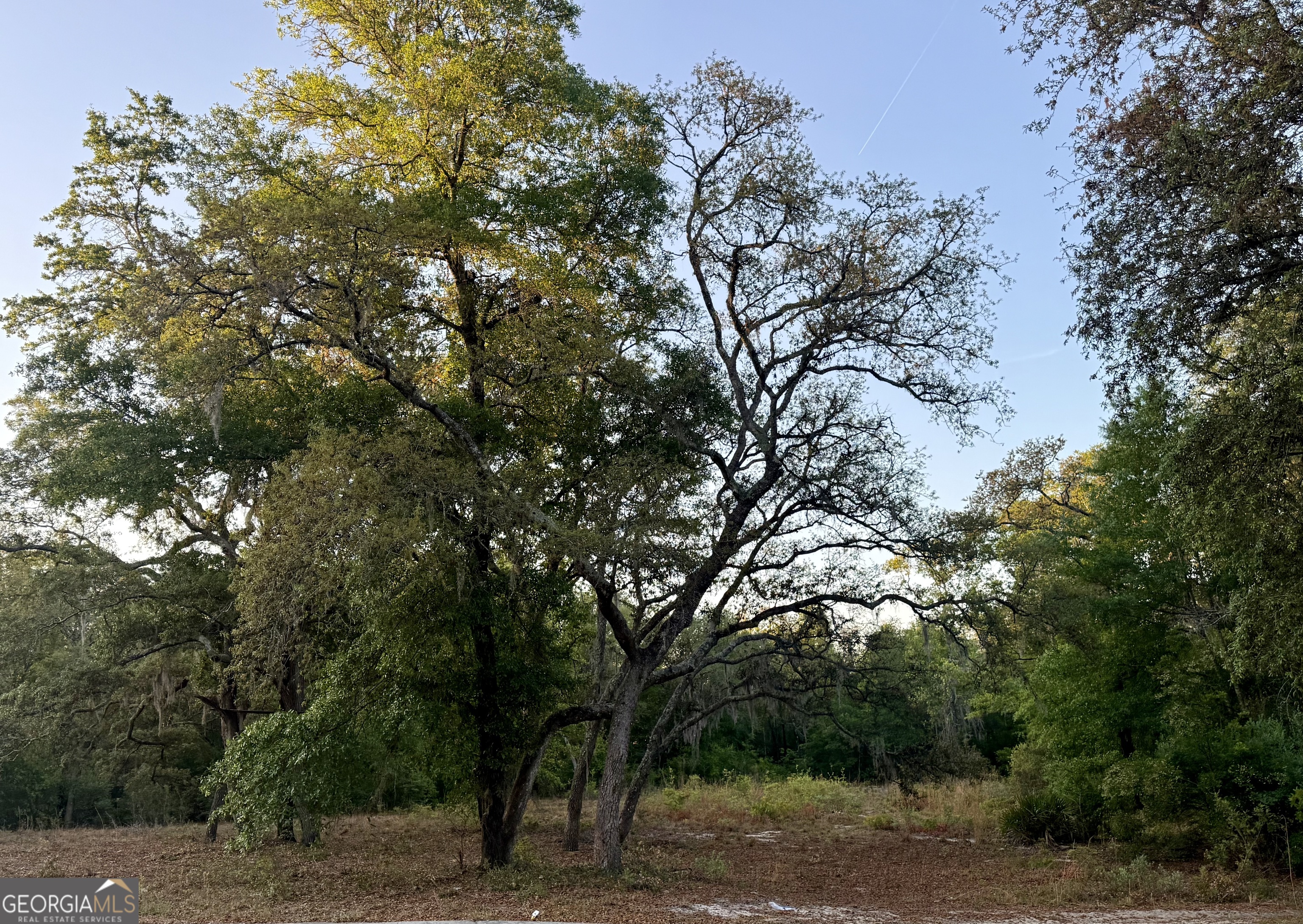 6005 & 6007 Tree Top Lane Property Photo 5