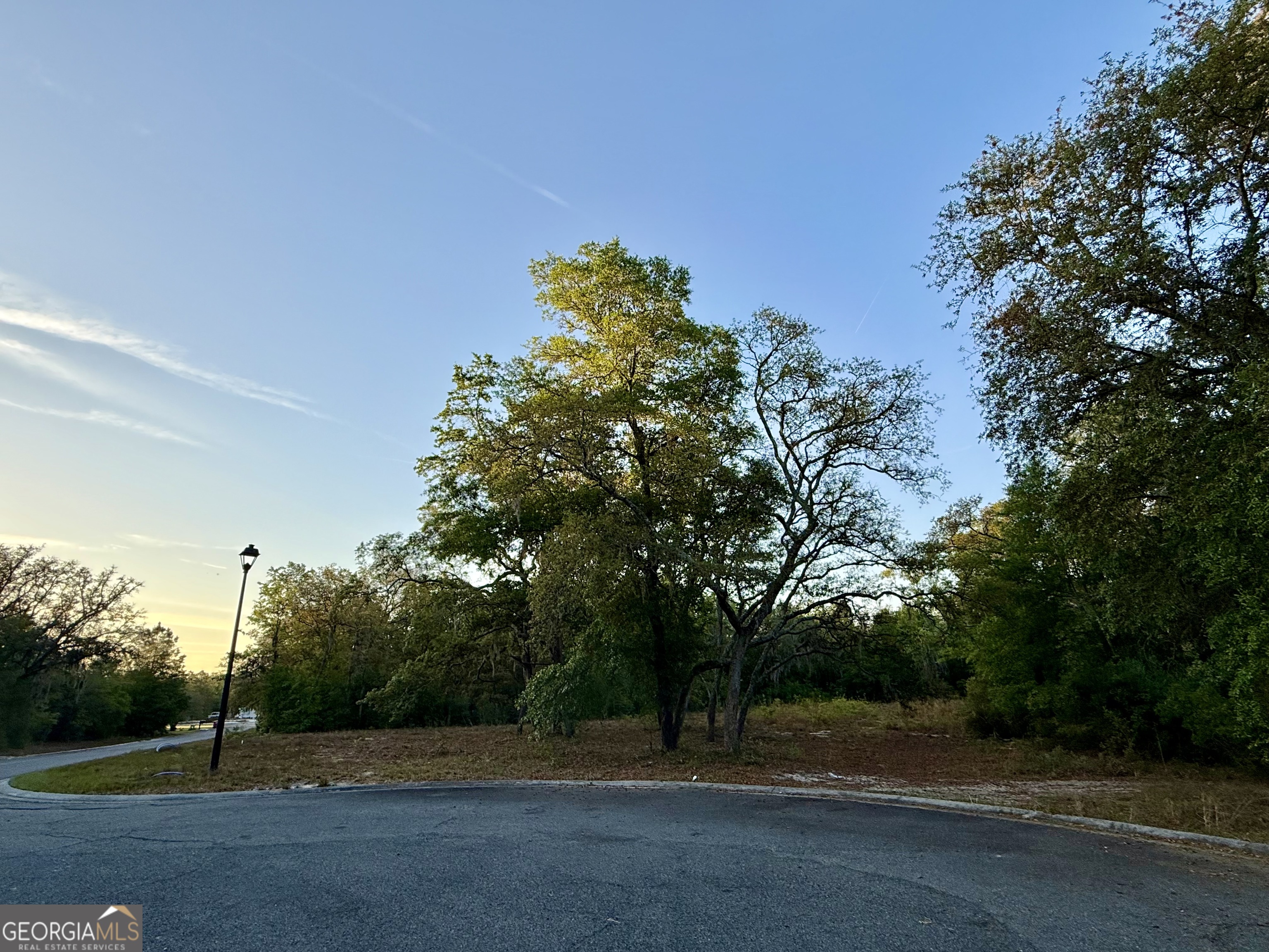 6005 & 6007 Tree Top Lane Property Photo 6