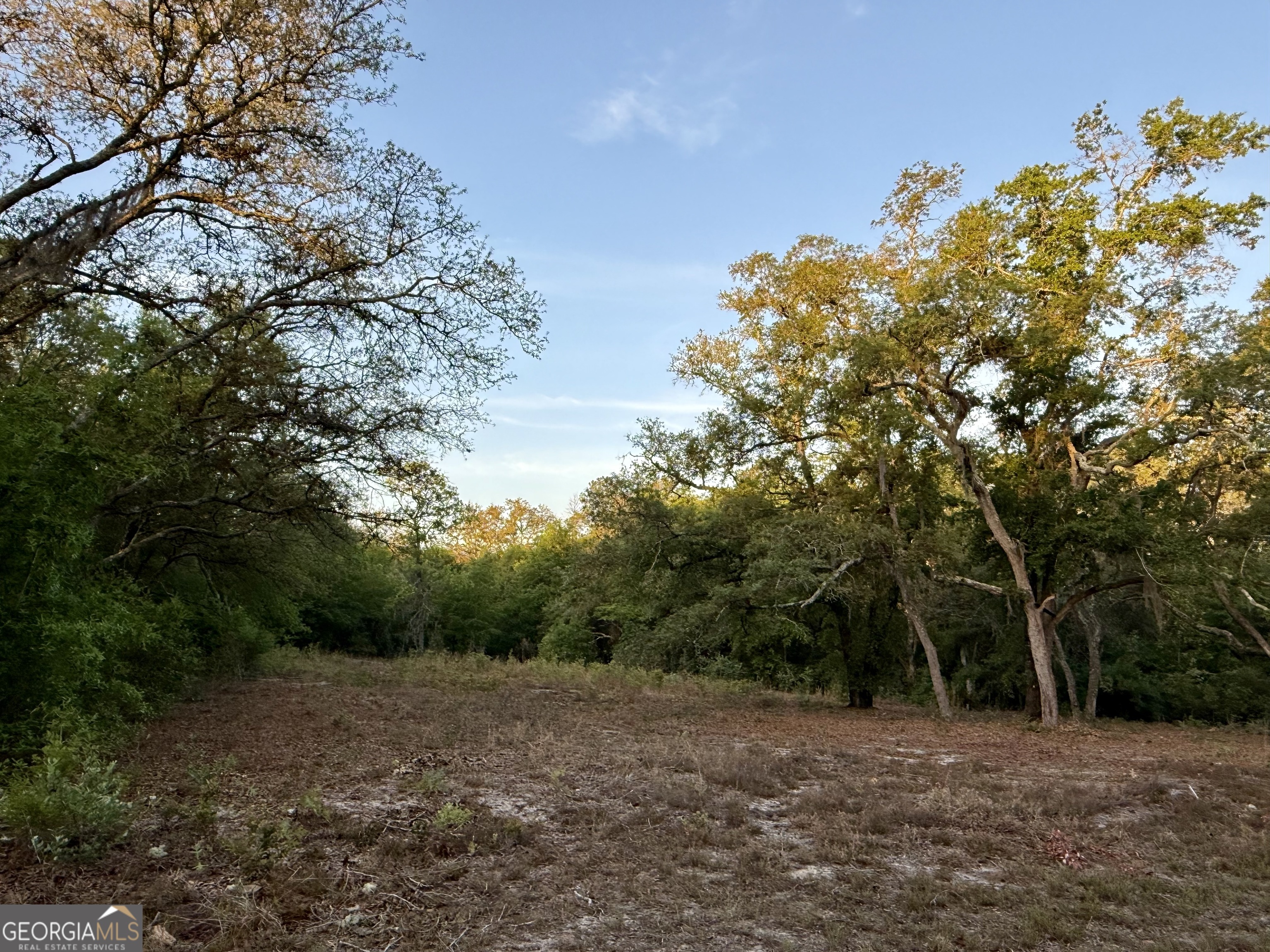 6005 & 6007 Tree Top Lane Property Photo 8