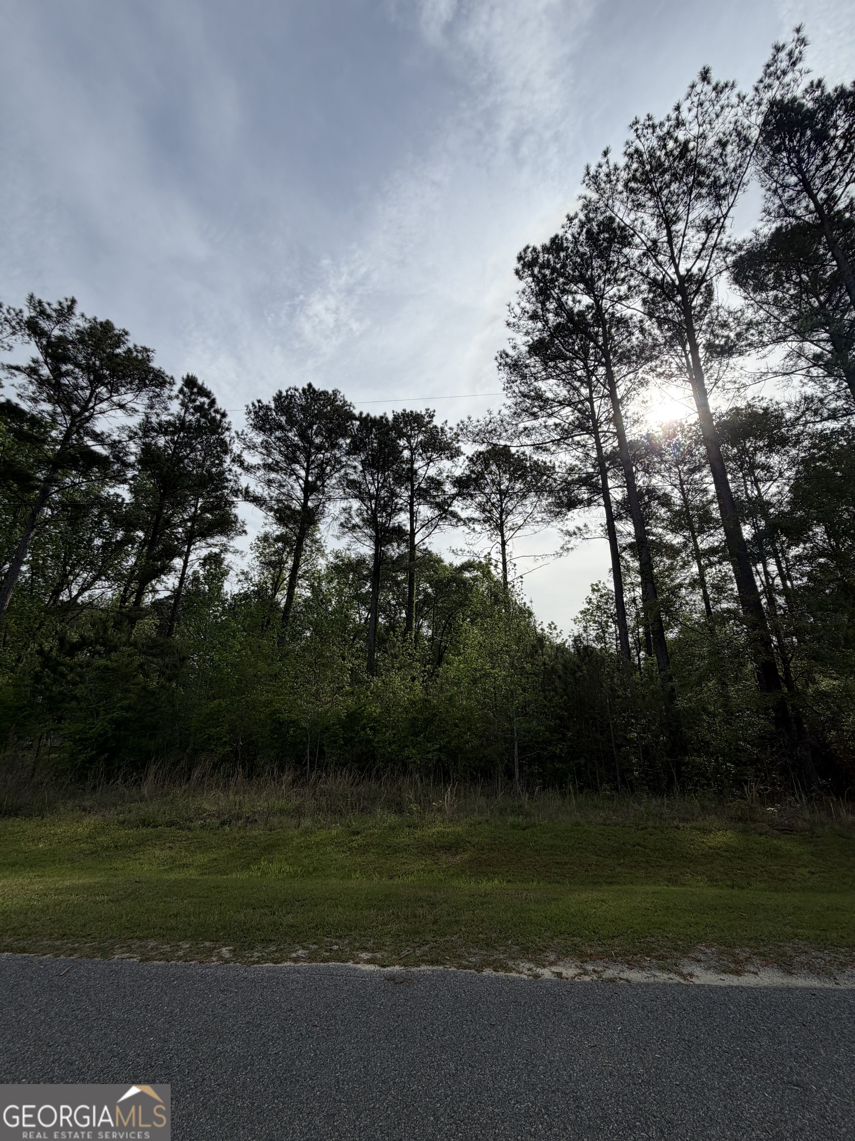 0 Brower Court Property Photo 1