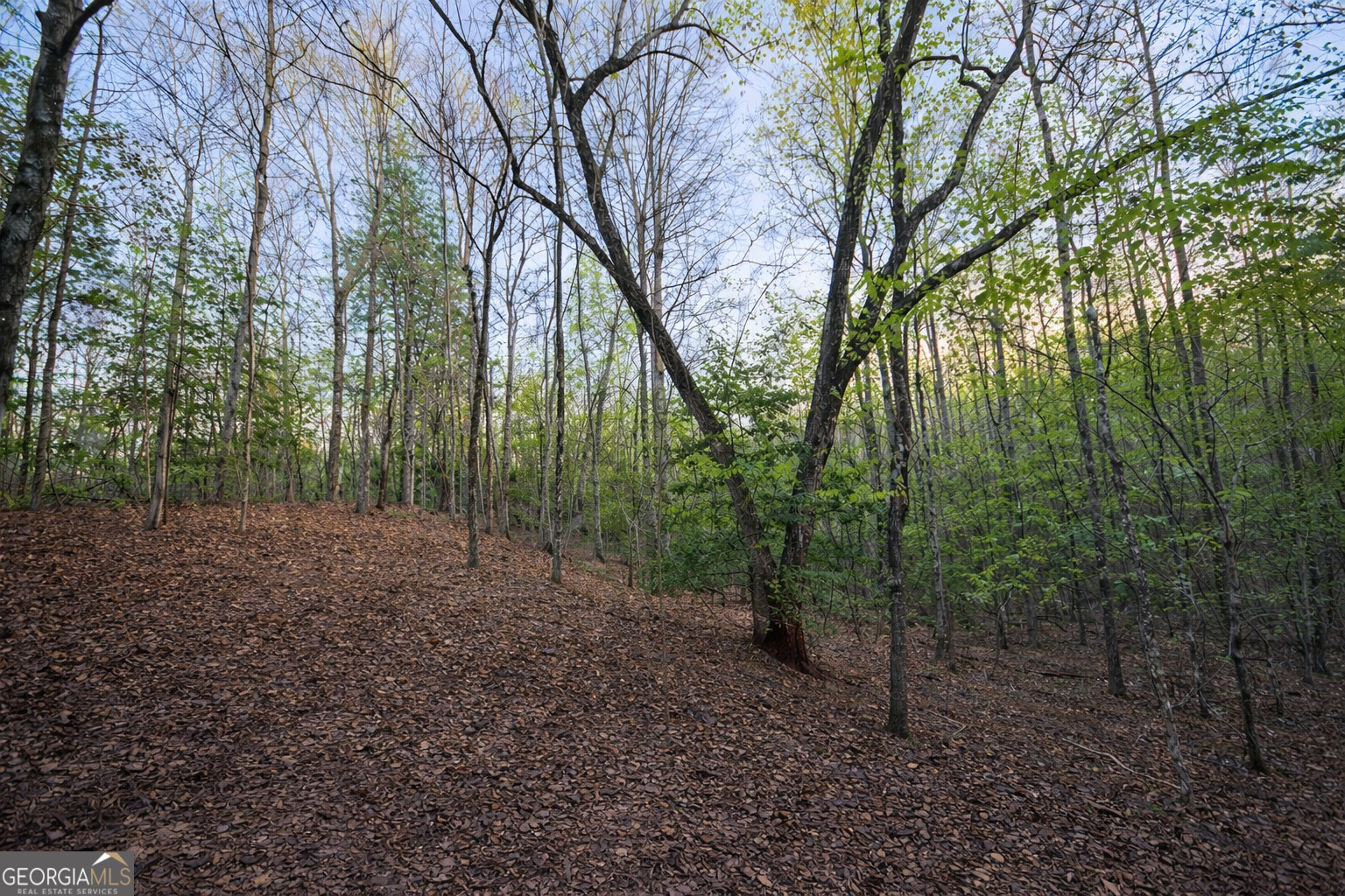 Lot 5 Riverbend Manor Property Photo 1