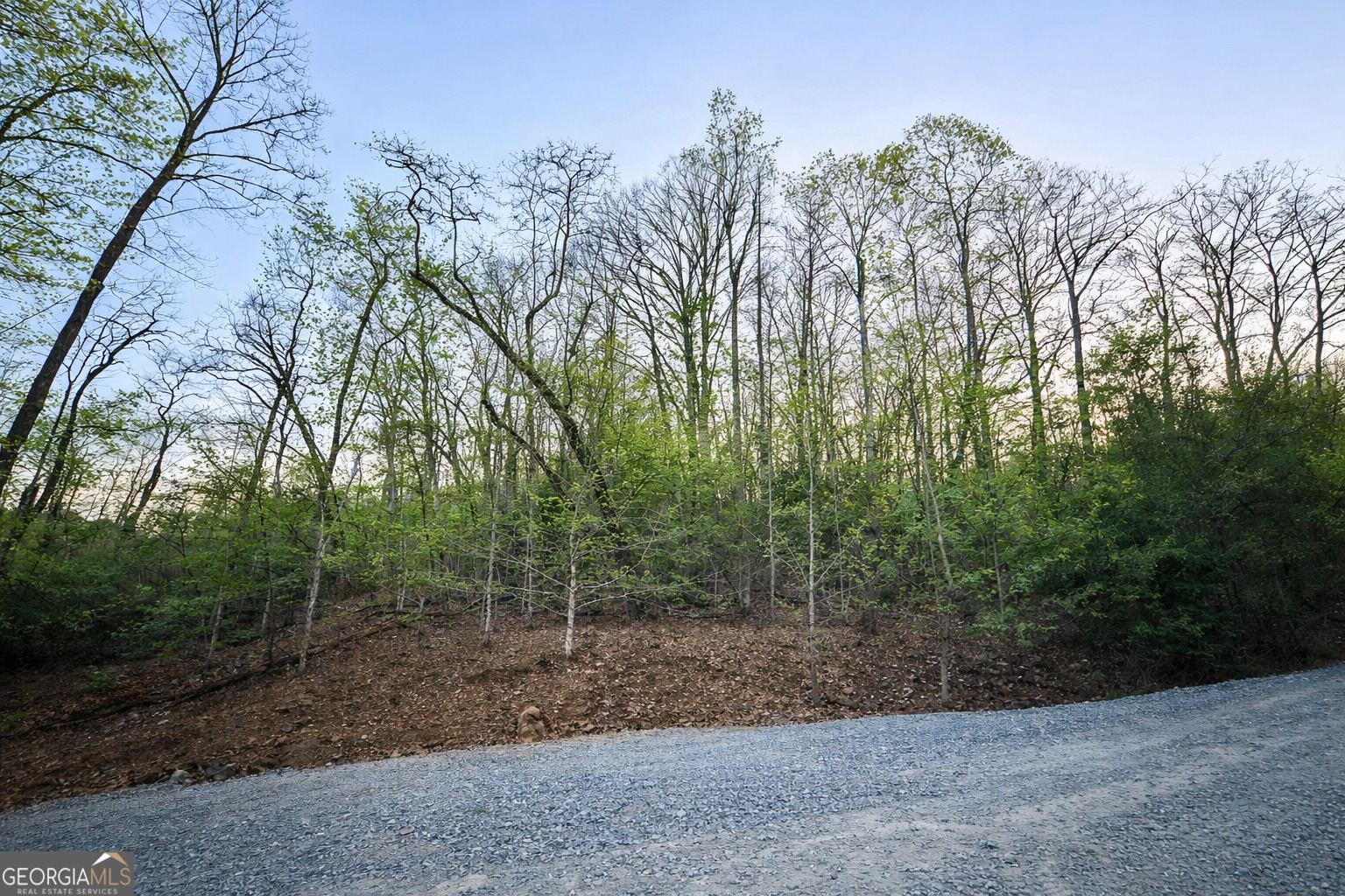 Lot 5 Riverbend Manor Property Photo 5