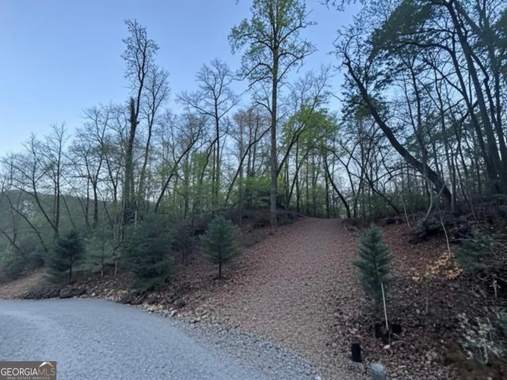Lot 5 Riverbend Manor Property Photo 8