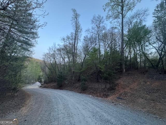 Lot 5 Riverbend Manor Property Photo 11