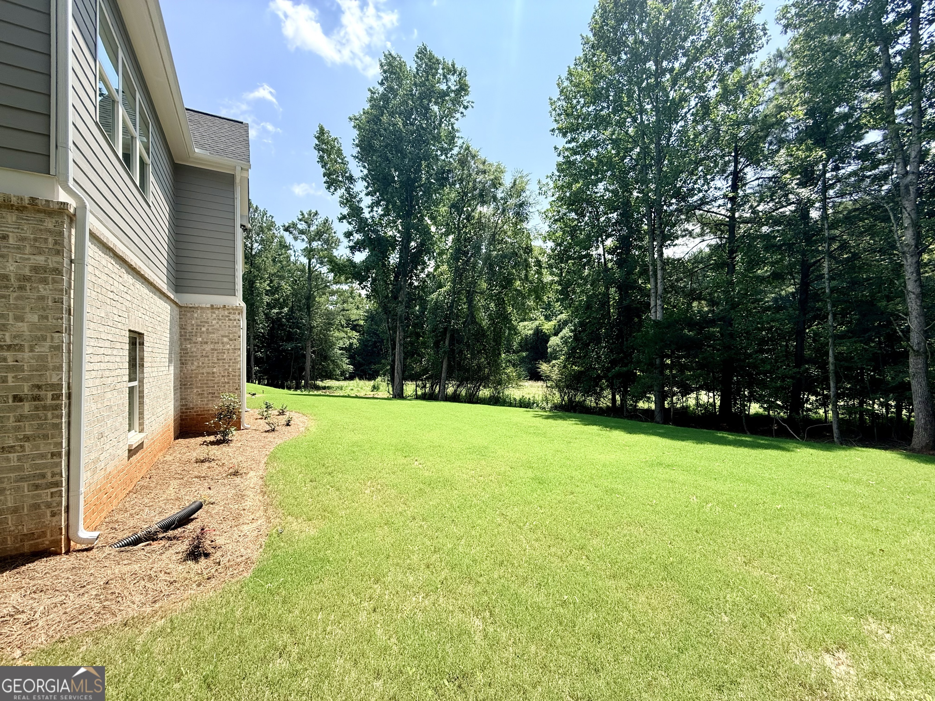 3108 Mulberry Greens Lane Property Photo 92