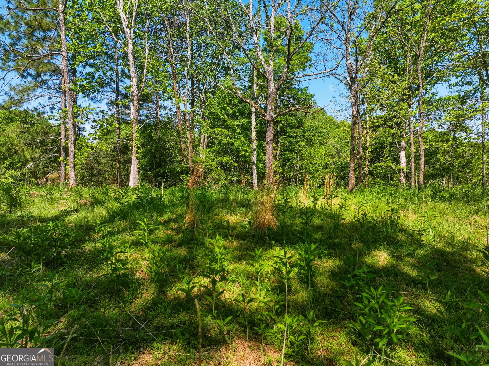 Lot 1 Summit Drive Property Photo 5