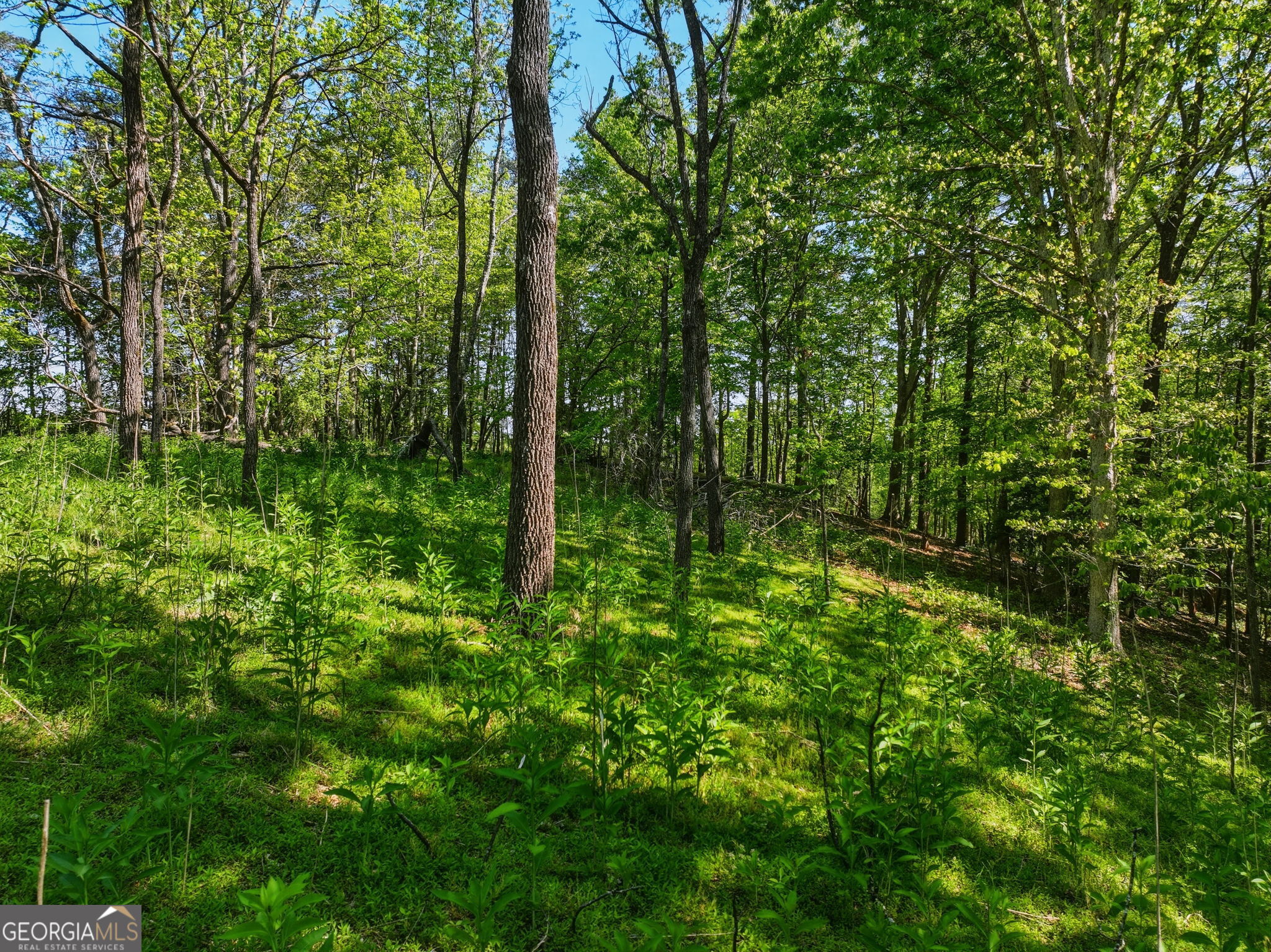 Lot 1 Summit Drive Property Photo 6