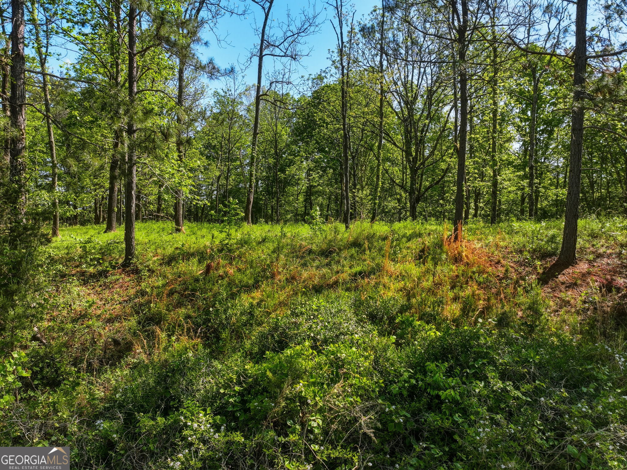 Lot 1 Summit Drive Property Photo 7