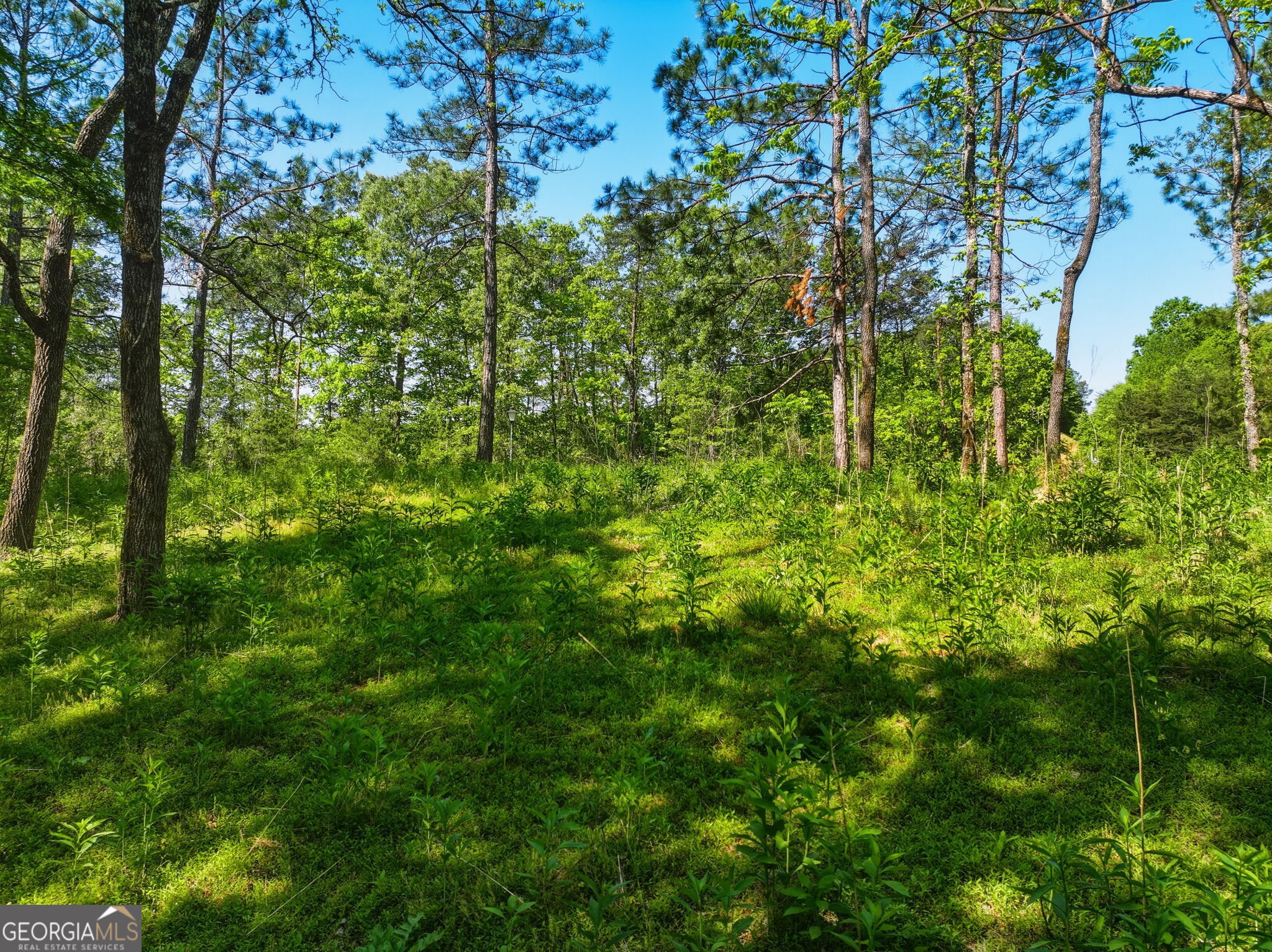 Lot 2 Summit Drive Property Photo 3