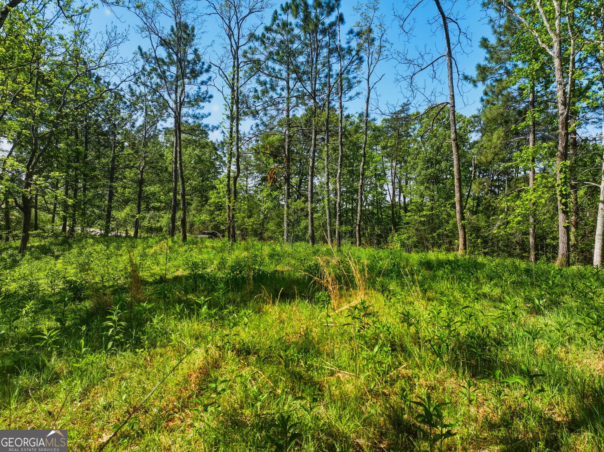 Lot 2 Summit Drive Property Photo 4
