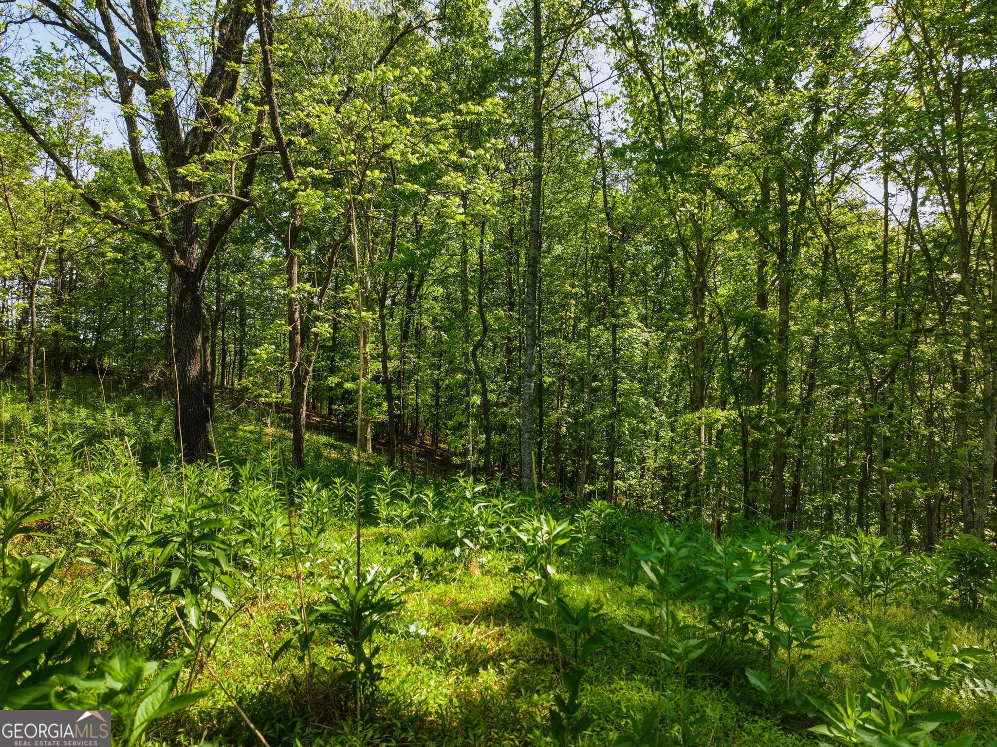 Lot 2 Summit Drive Property Photo 5