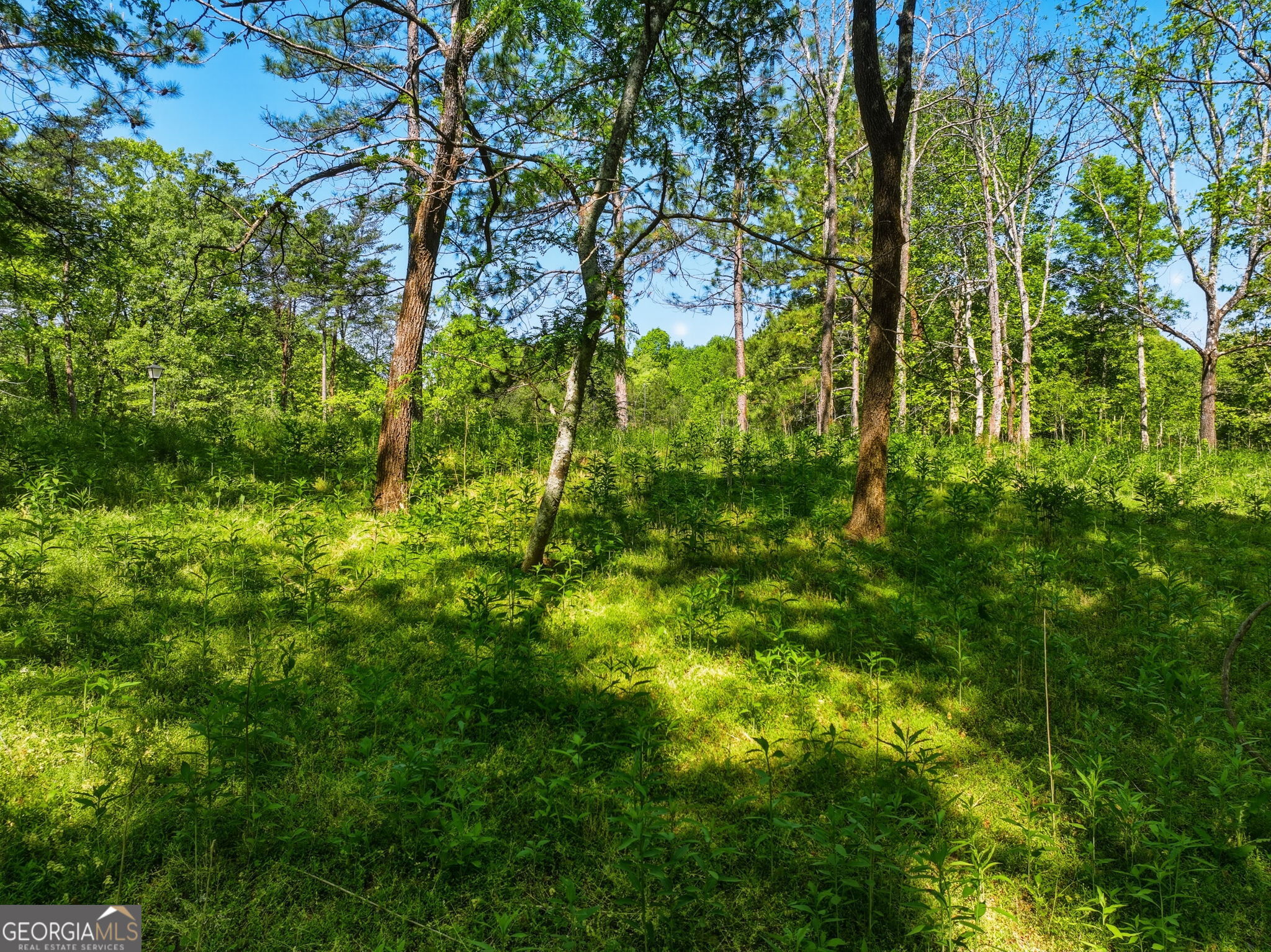 Lot 3 Summit Drive Property Photo 2