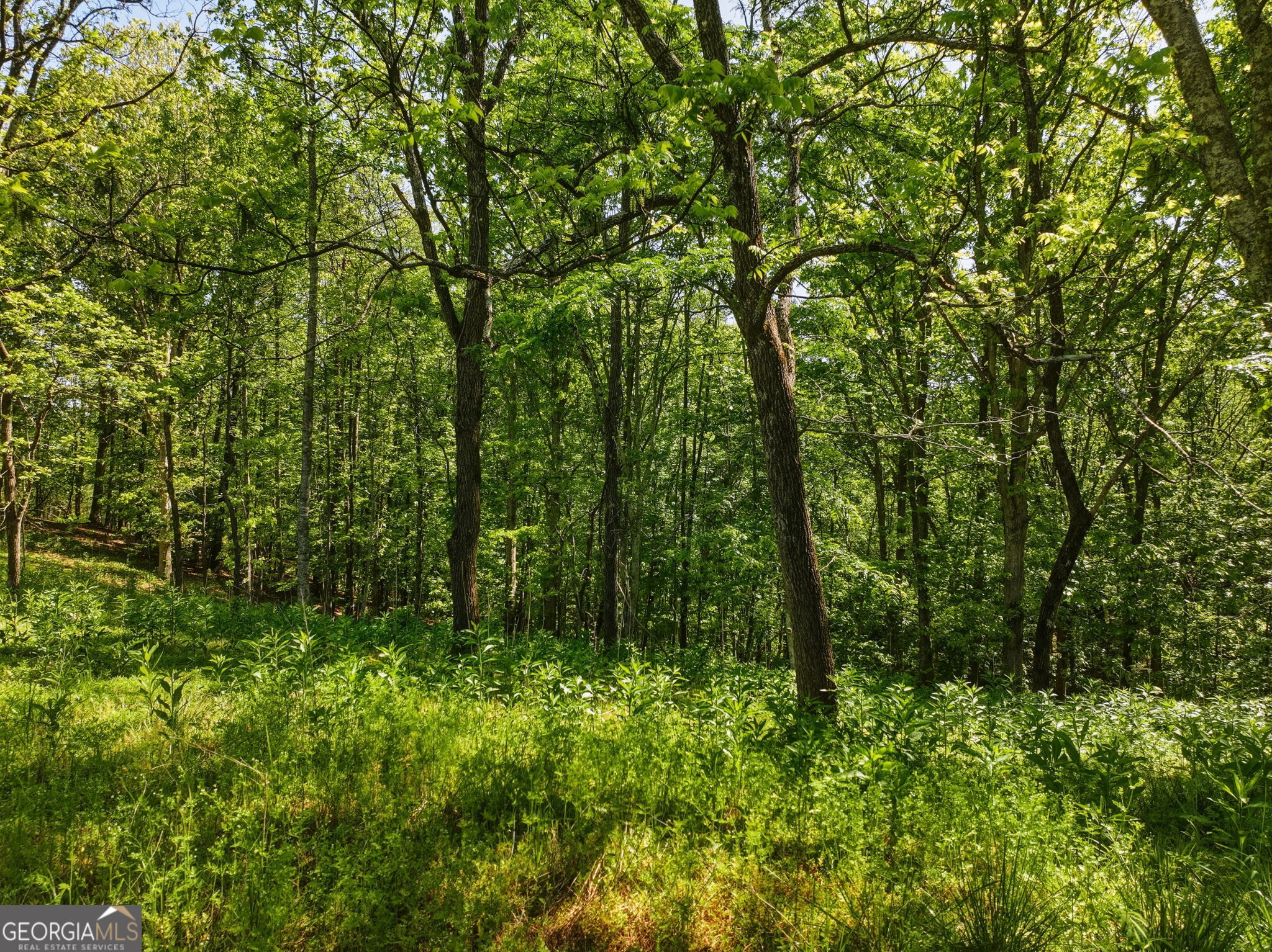 Lot 3 Summit Drive Property Photo 3