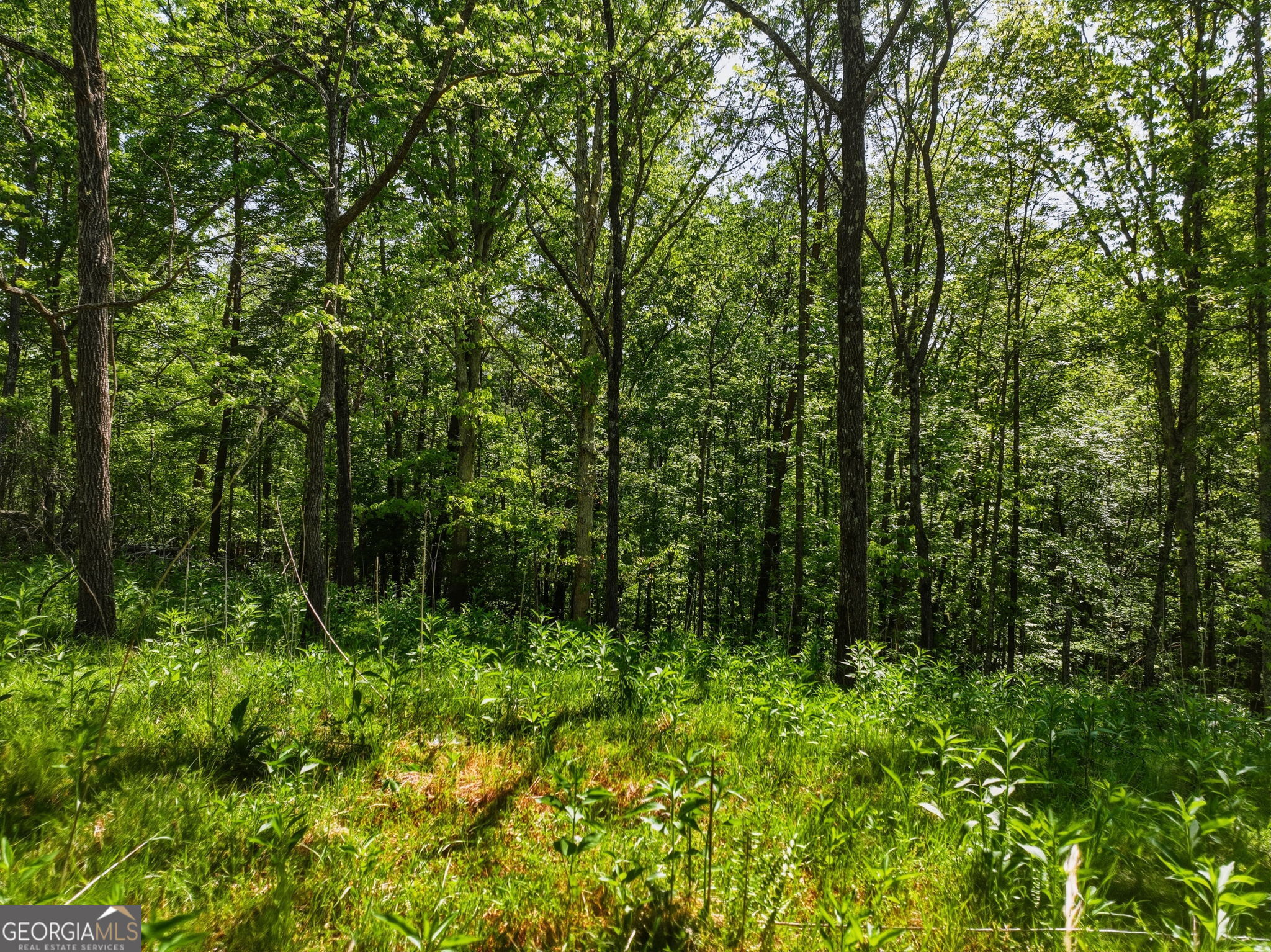 Lot 3 Summit Drive Property Photo 4
