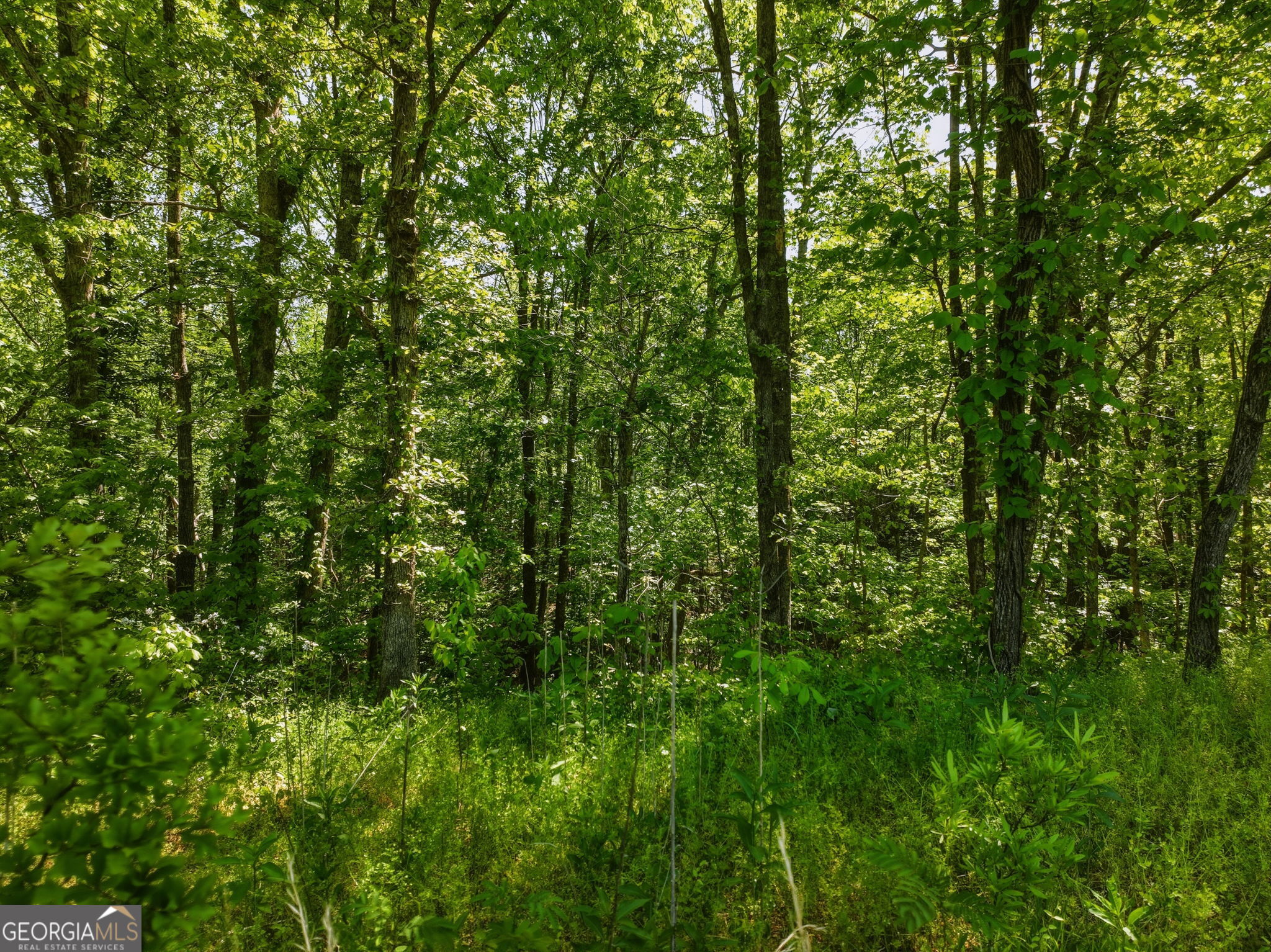 Lot 5 Summit Drive Property Photo 3