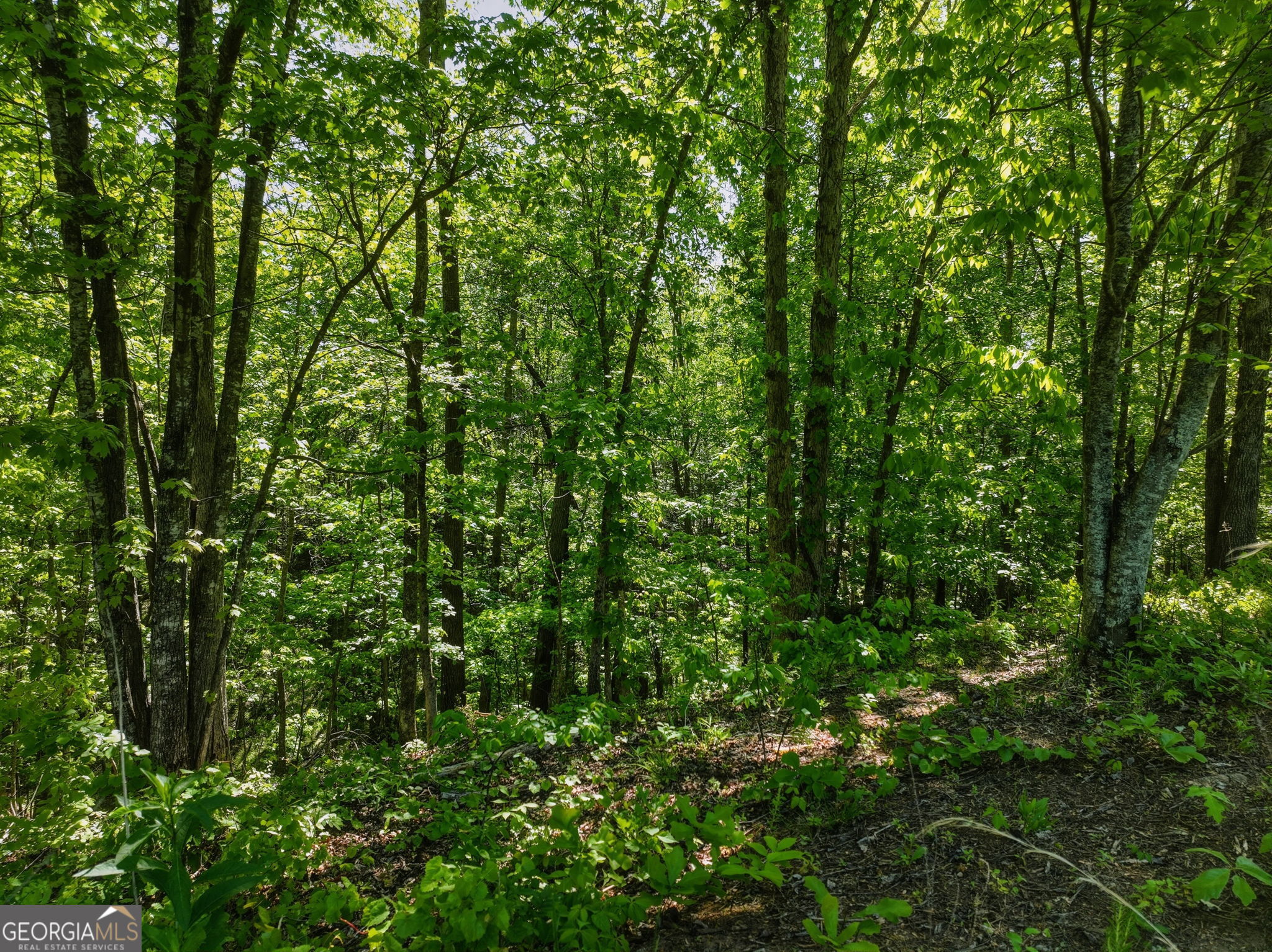 Lot 5 Summit Drive Property Photo 4