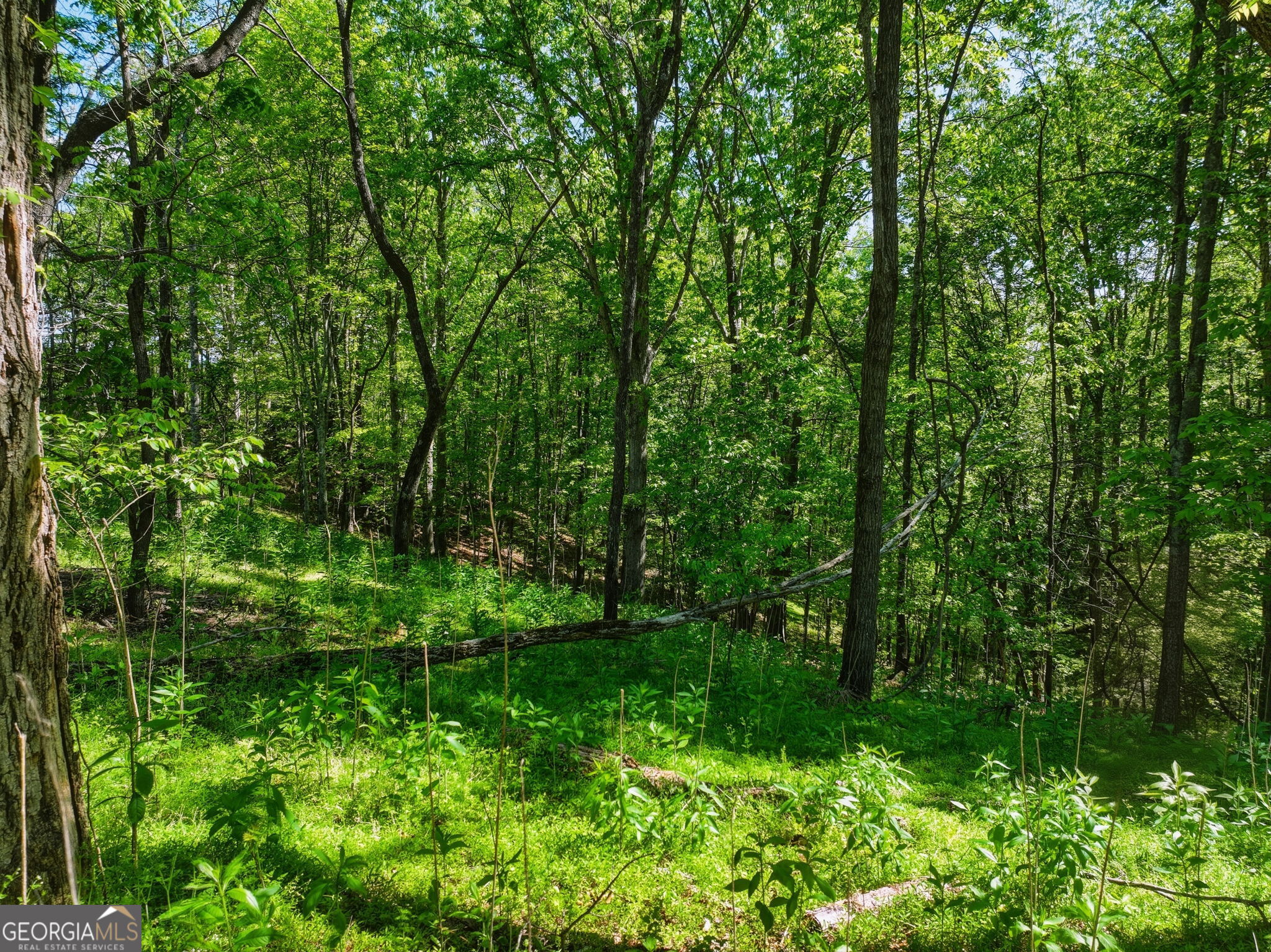 Lot 6 Summit Drive Property Photo 4