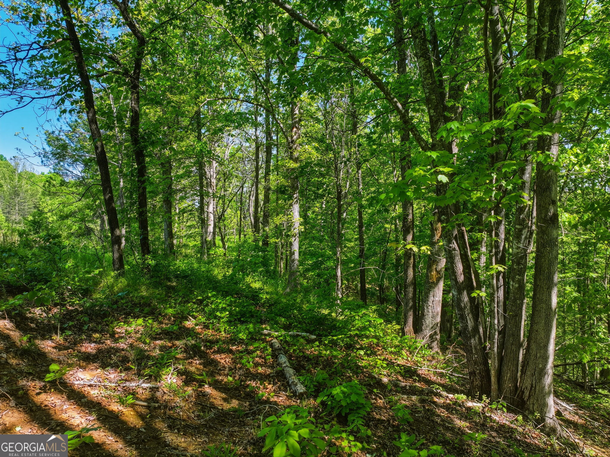 Lot 6 Summit Drive Property Photo 5
