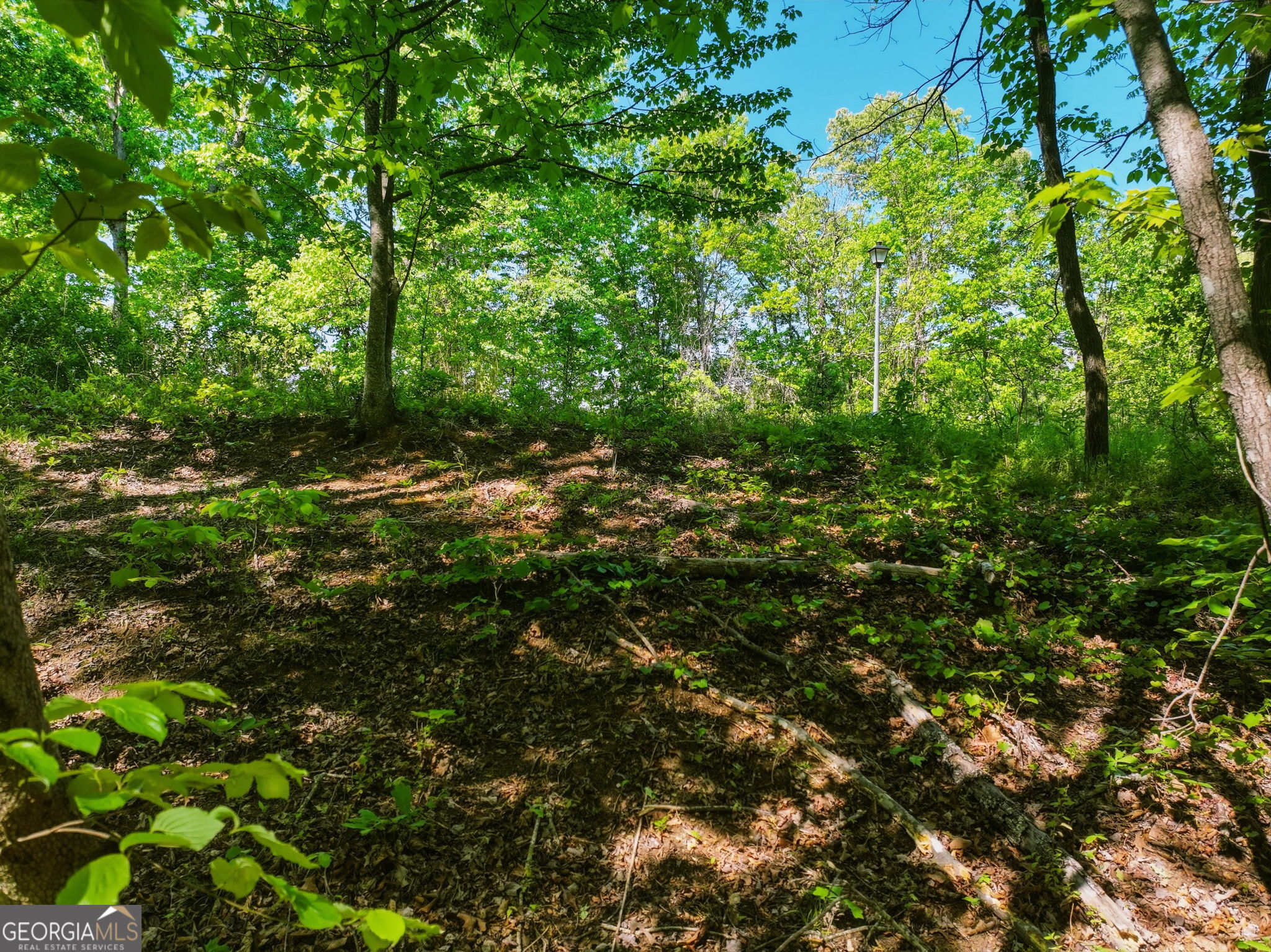 Lot 6 Summit Drive Property Photo 6