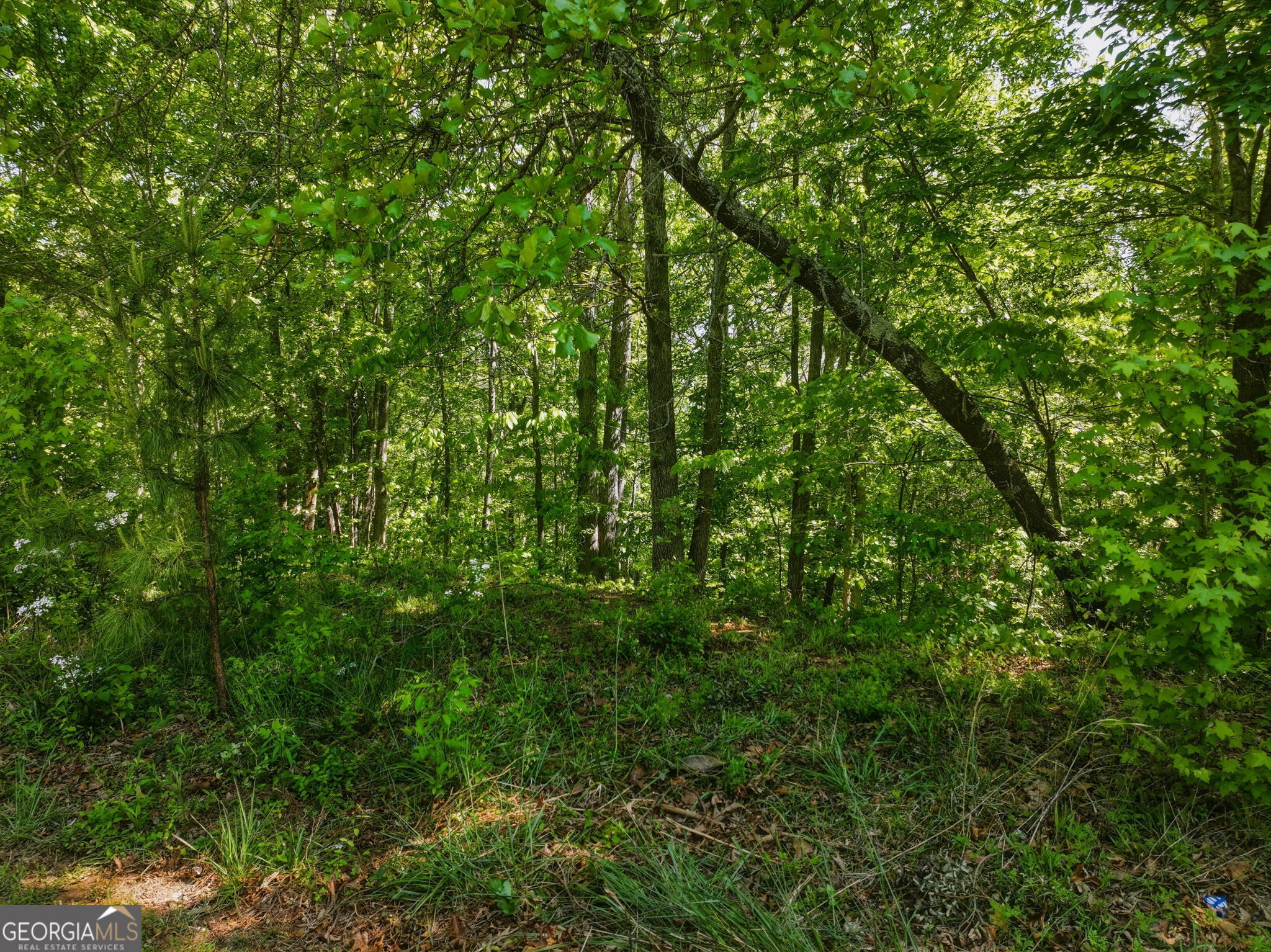 Lot 7 Summit Drive Property Photo 4