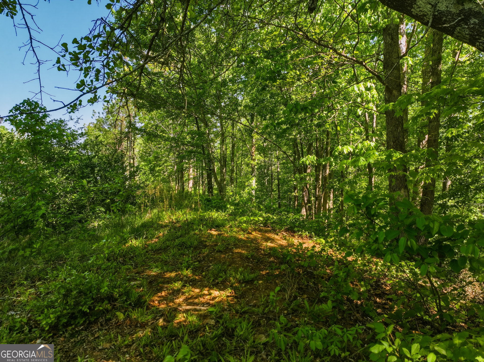 Lot 7 Summit Drive Property Photo 5