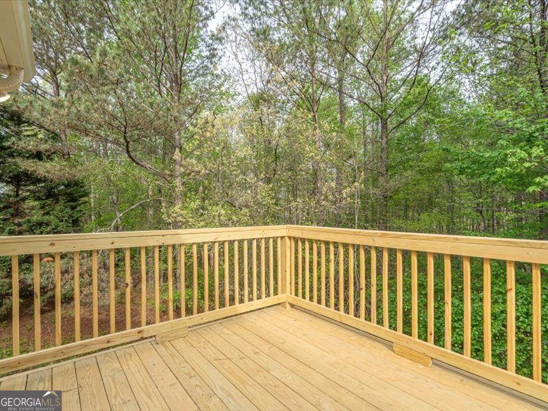 1406 Morgans Bluff Property Photo 59