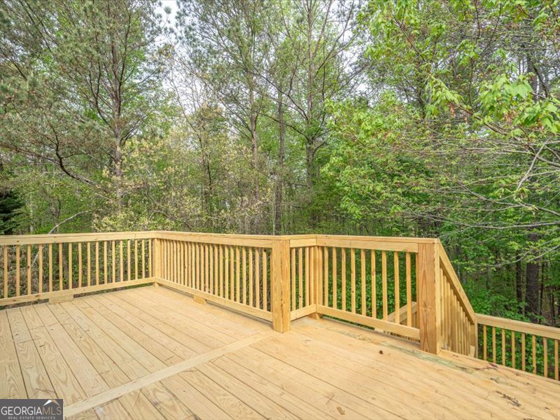 1406 Morgans Bluff Property Photo 60