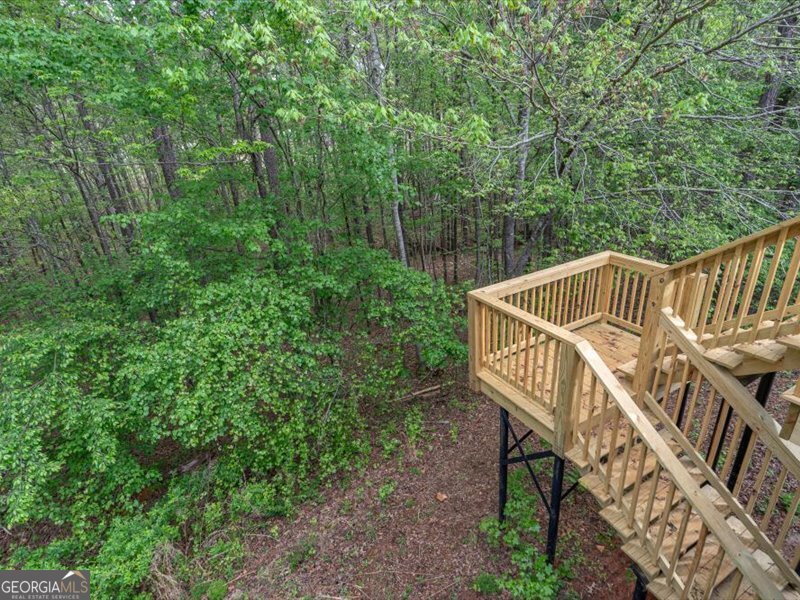 1406 Morgans Bluff Property Photo 64