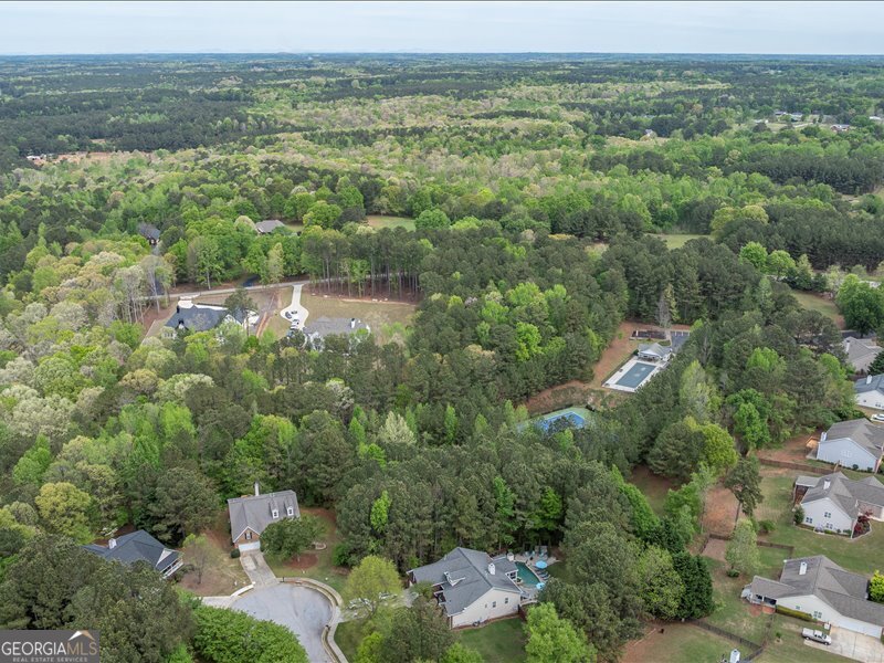 1406 Morgans Bluff Property Photo 80