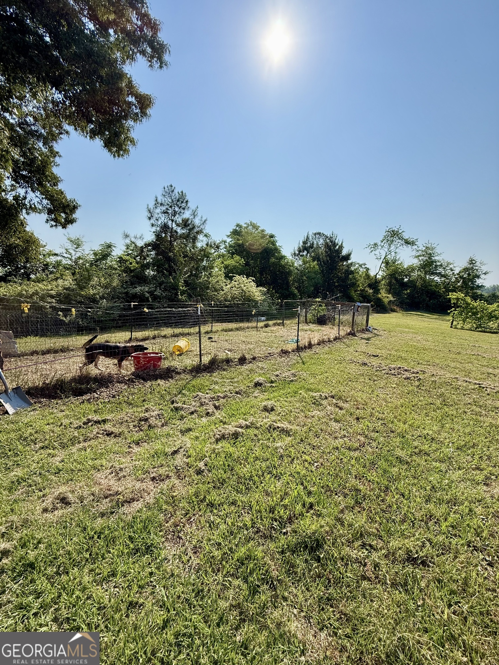 3856 Ga Highway 231 Property Photo 9