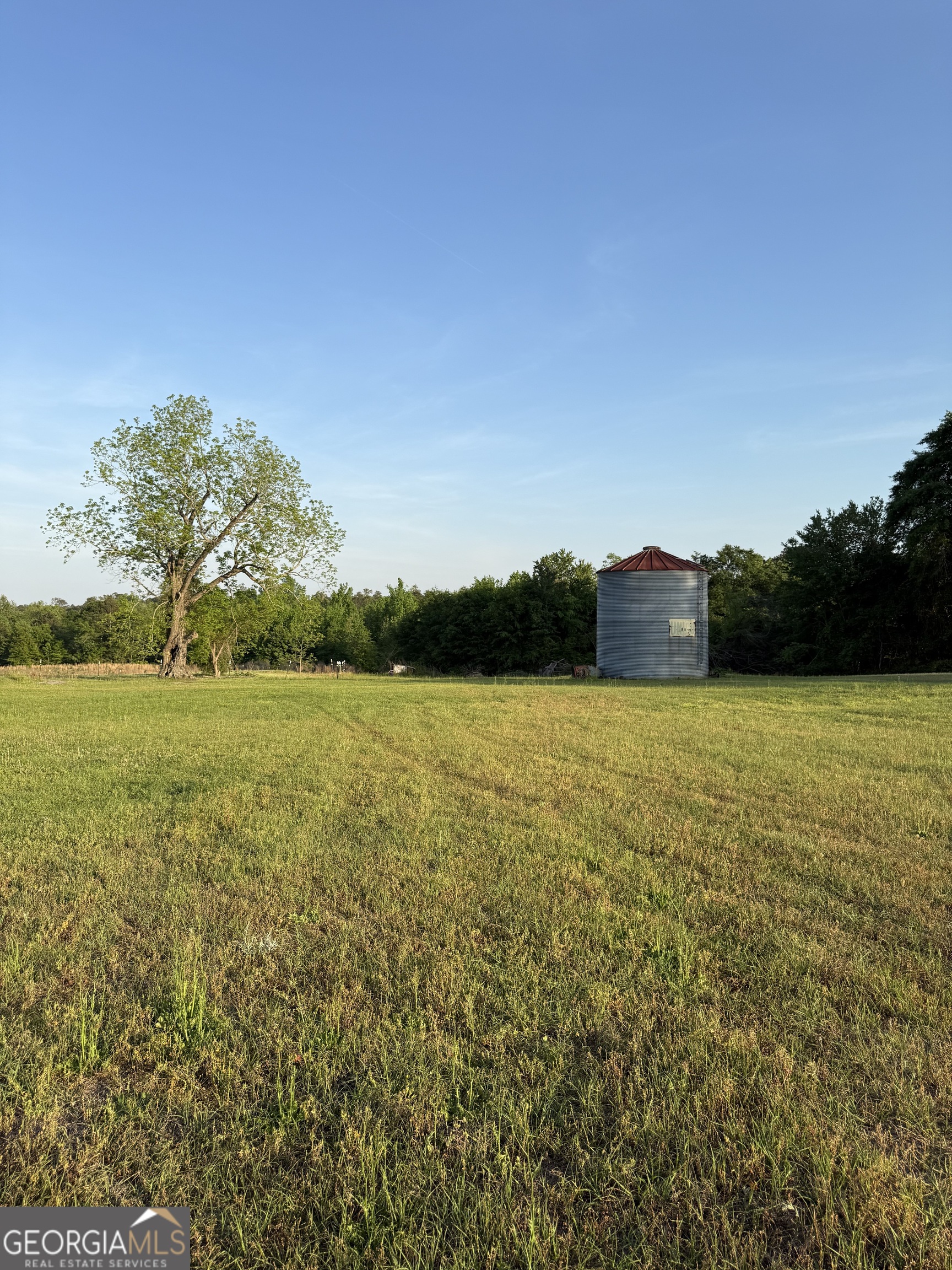 3856 Ga Highway 231 Property Photo 32